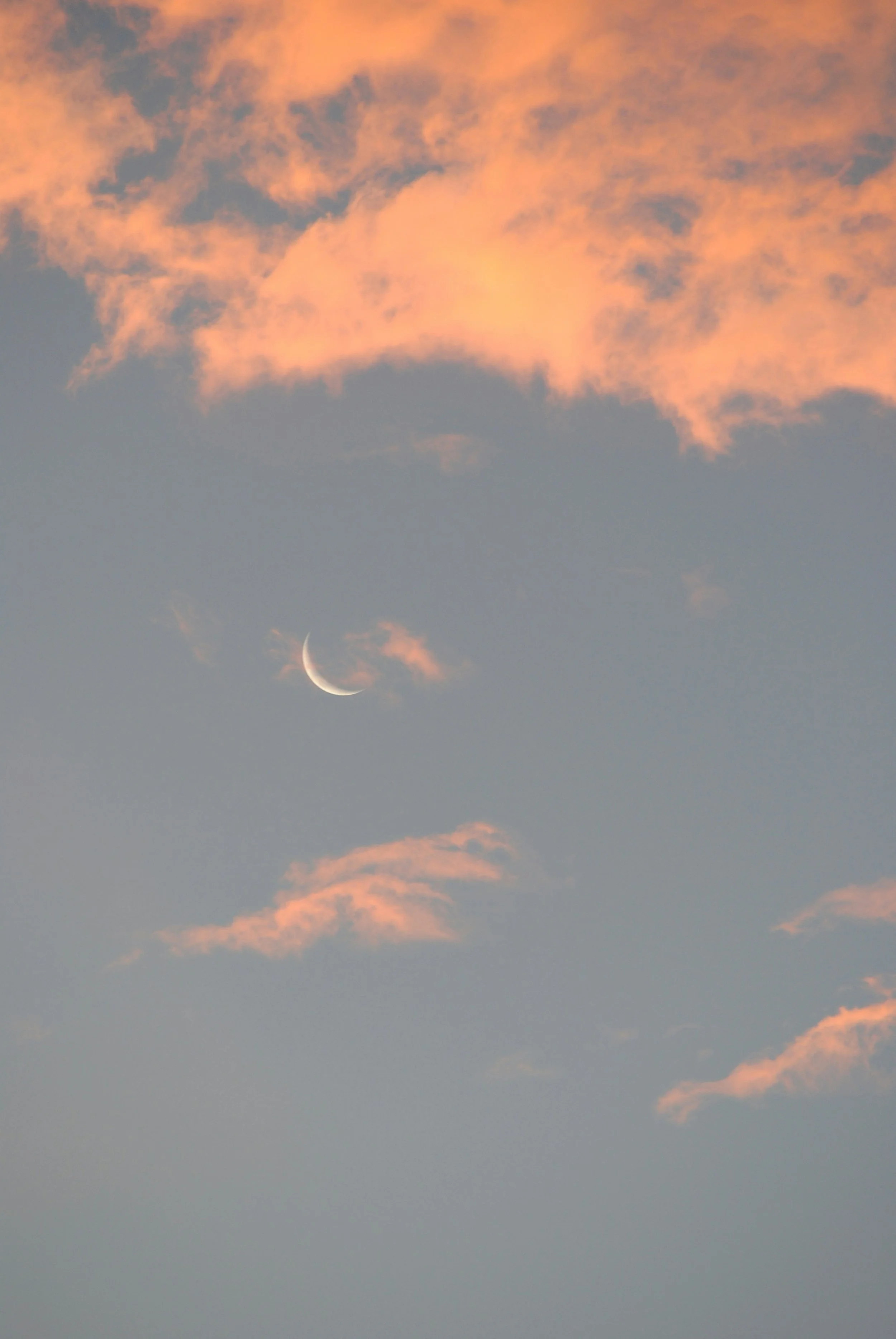 A sky scene at sunset with pink clouds and a crescent moon.