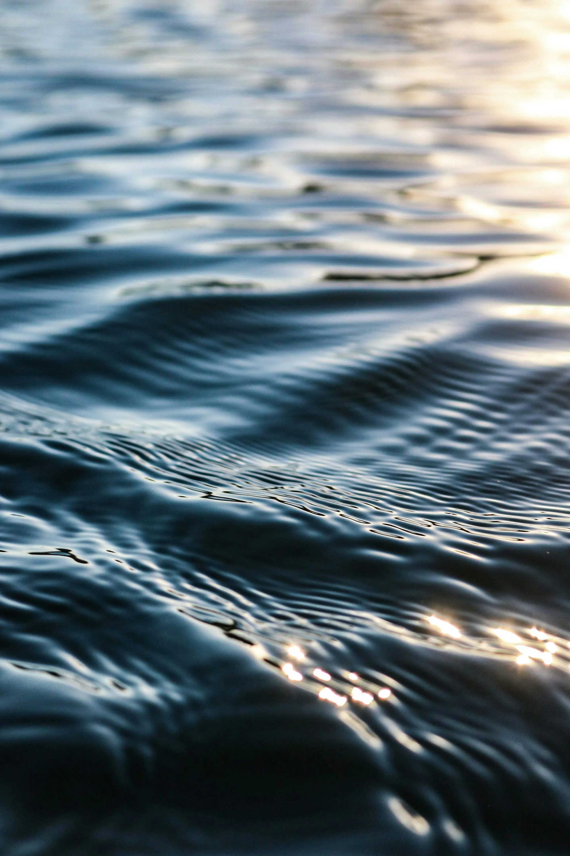 A calming image of sunlight reflecting on water, representing the flow of Qi and emotional balance in Five Element Acupuncture for anxiety.