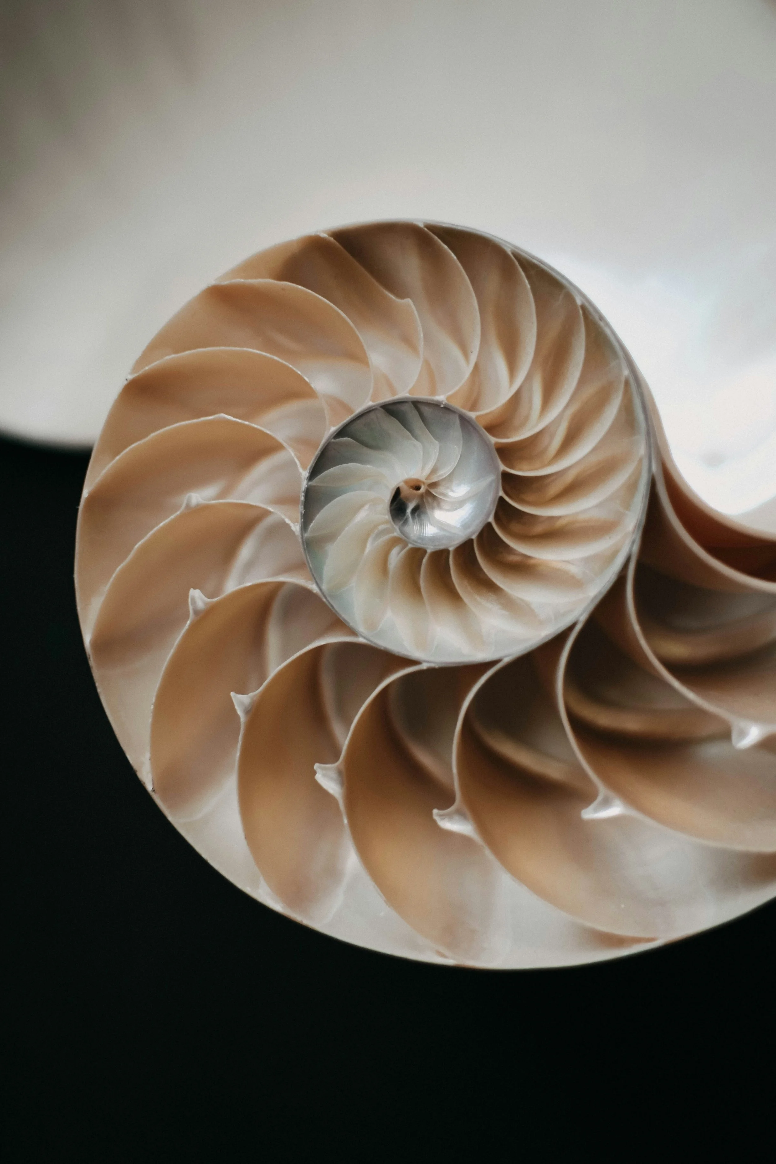 Acupuncture for IBS and digestive health in London - gentle, research-backed support at Emily’s Hackney and Westminster clinics.