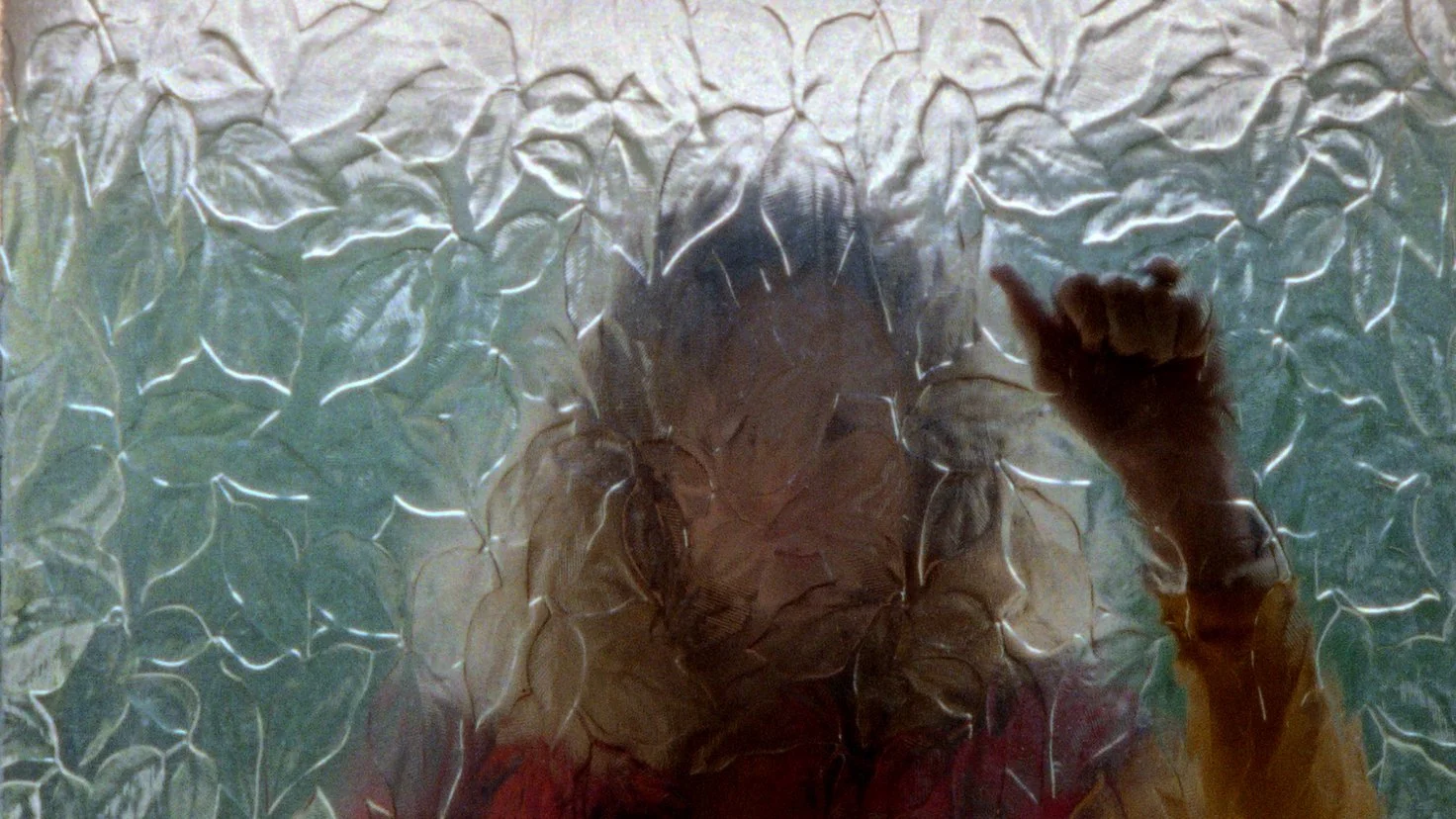 Salt Wounds — Toby Elwes | Cinematographer