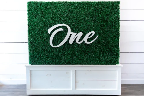 'One' sign on the greenery wall