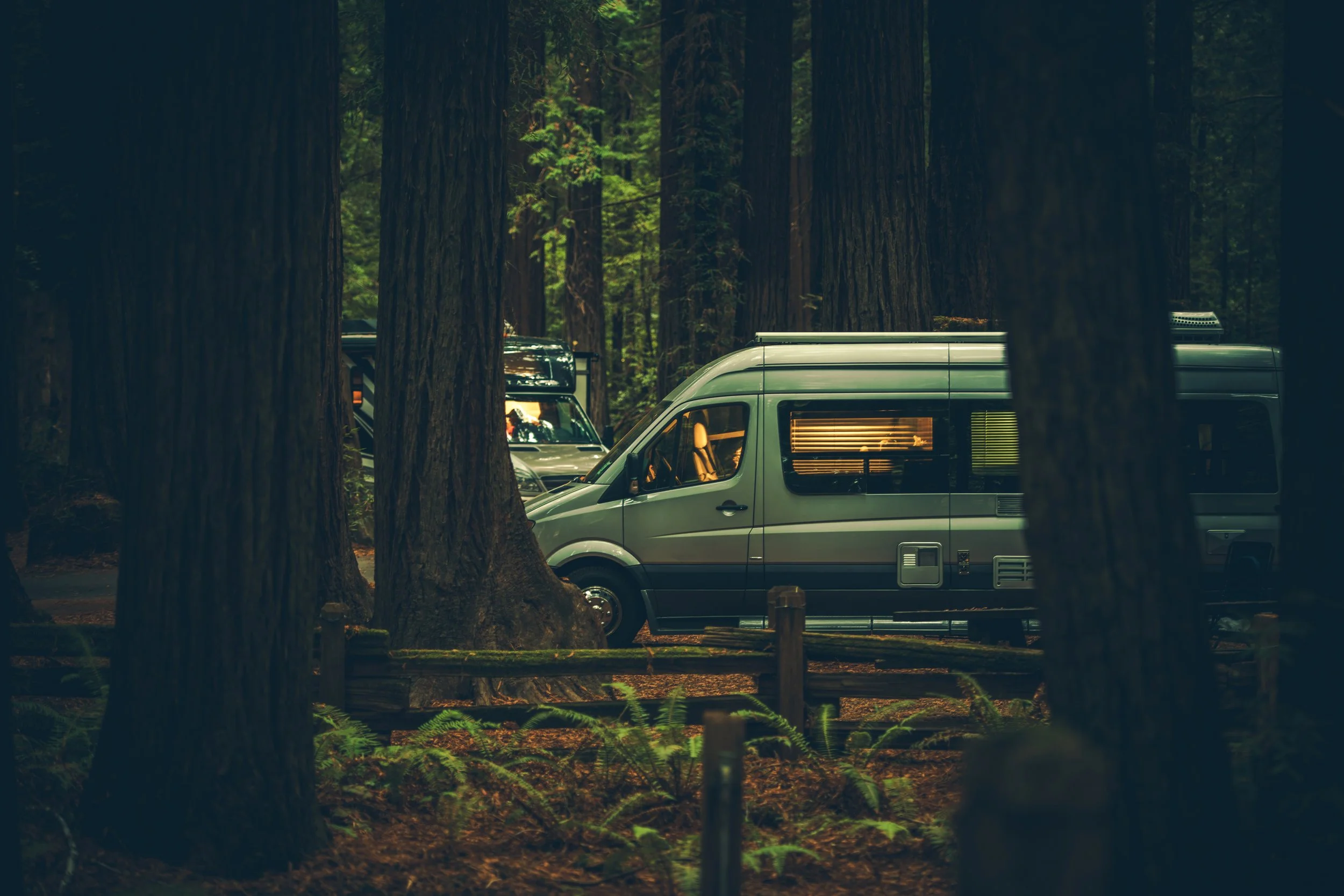 vecteezy_class-b-motorhome-camping-between-redwood-trees_24531750.jpeg