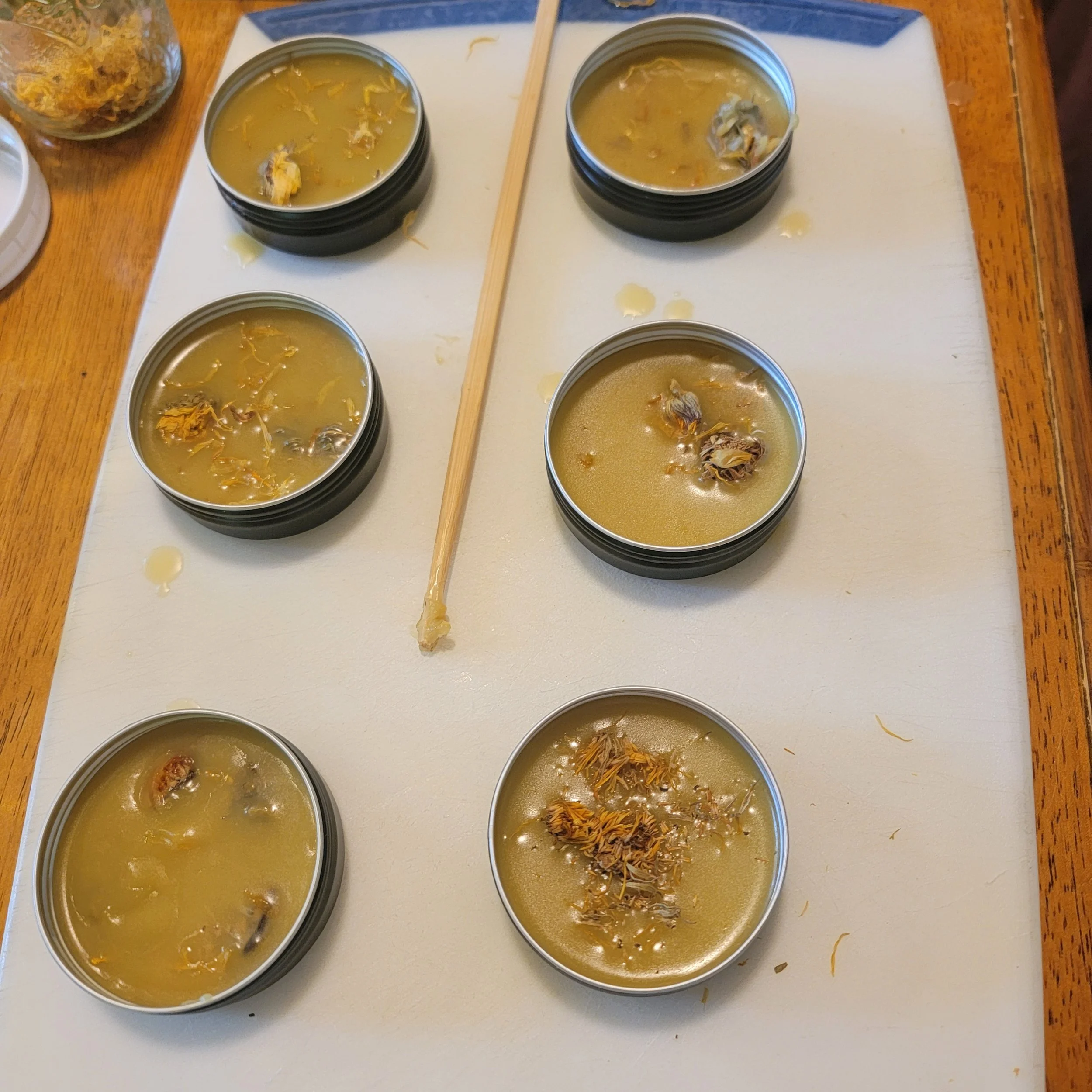 Herbal Salve MAking Workshop