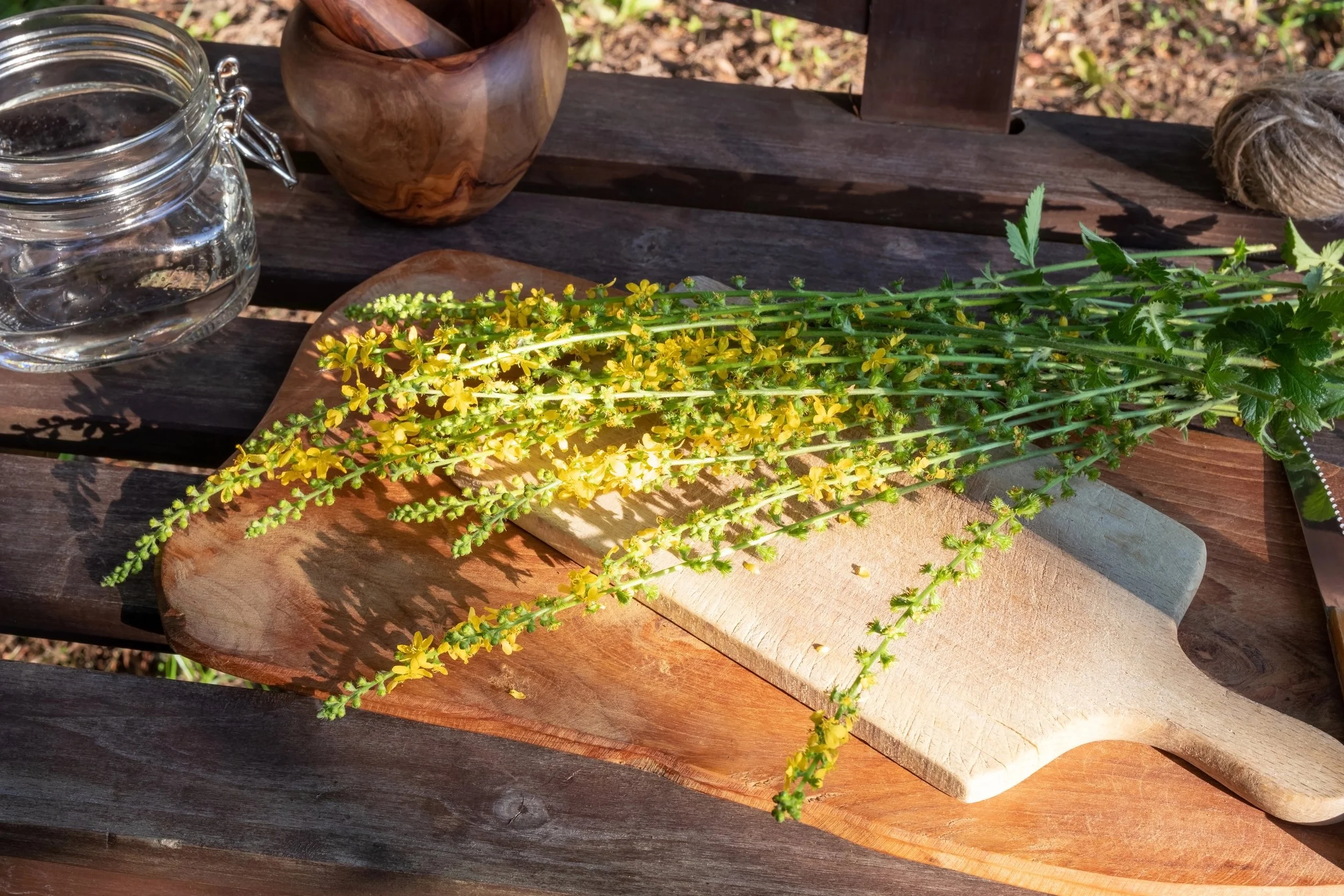 Private Herbal Consults