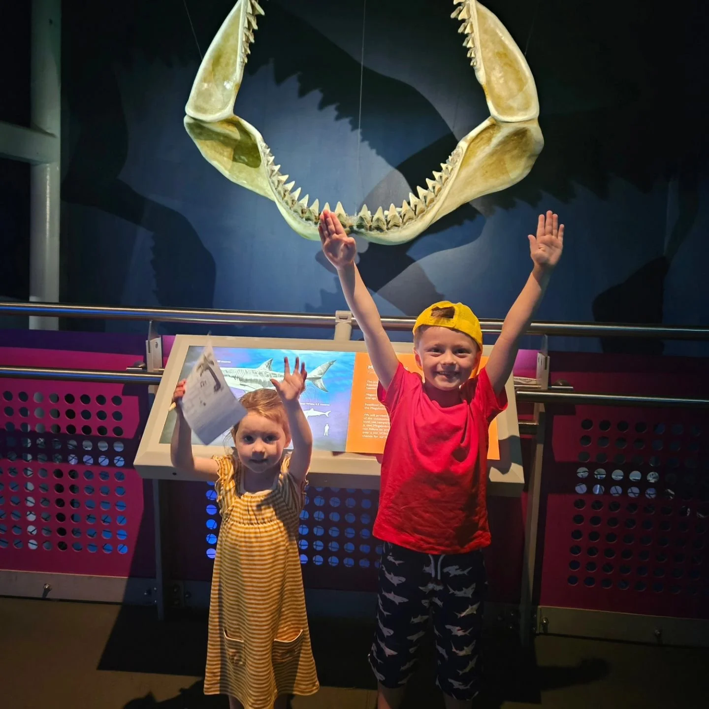 Hull to Rotterdam Crossing with P&amp;O Ferries and exploring The Deep Aquarium, Hull.