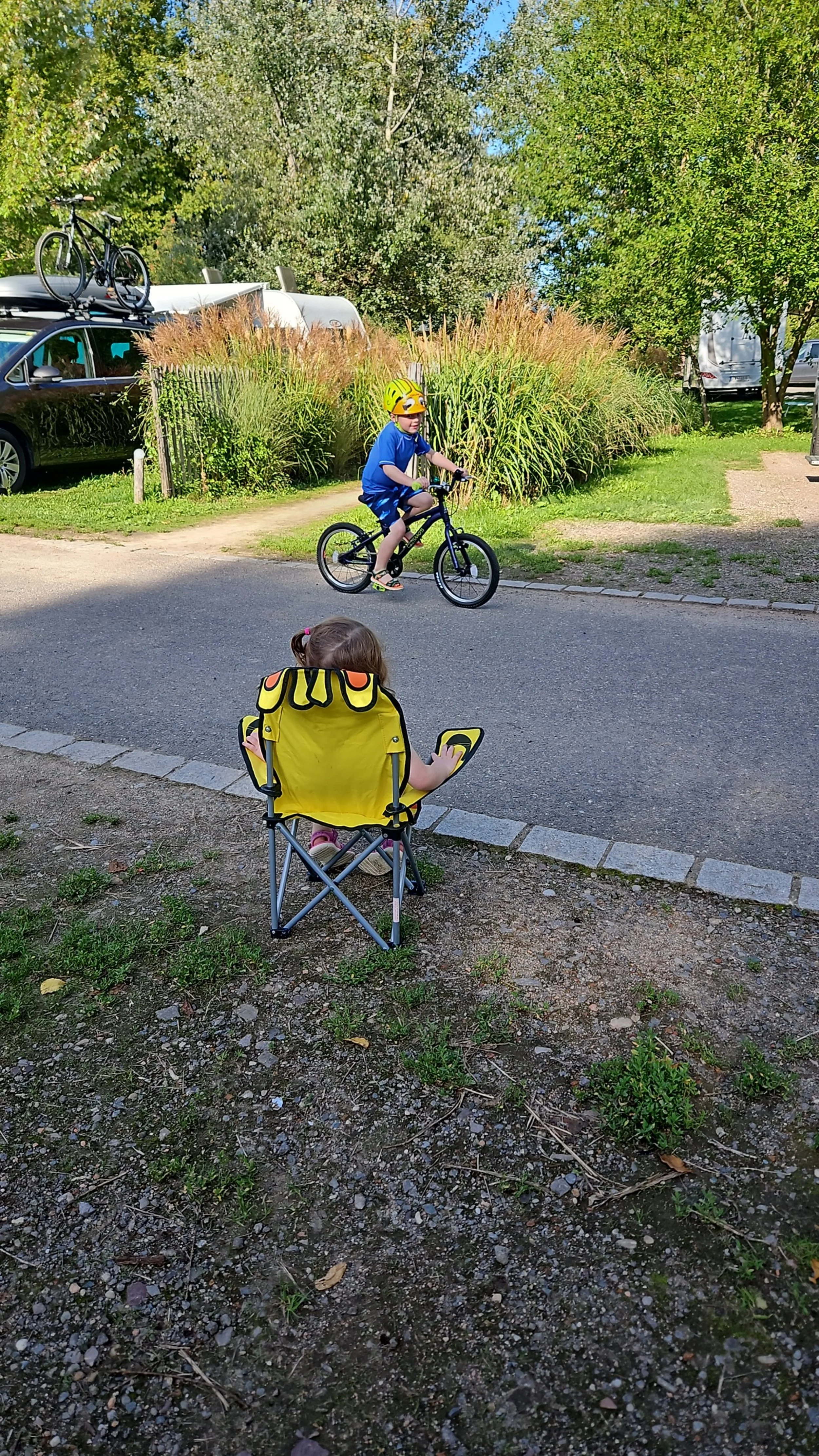 processed_IMG-20230815-WA0002.jpeg