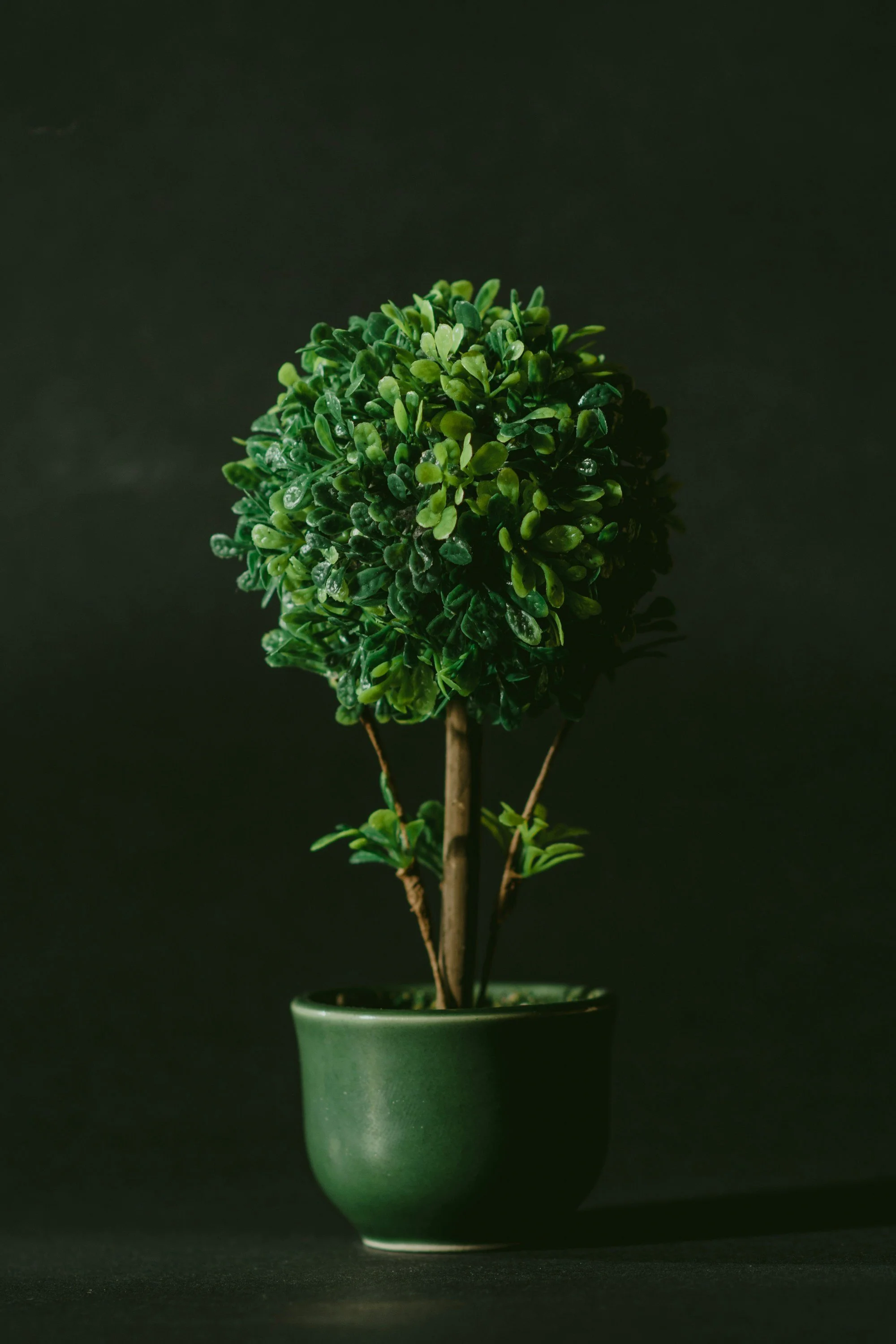 Tier Two — The Journey