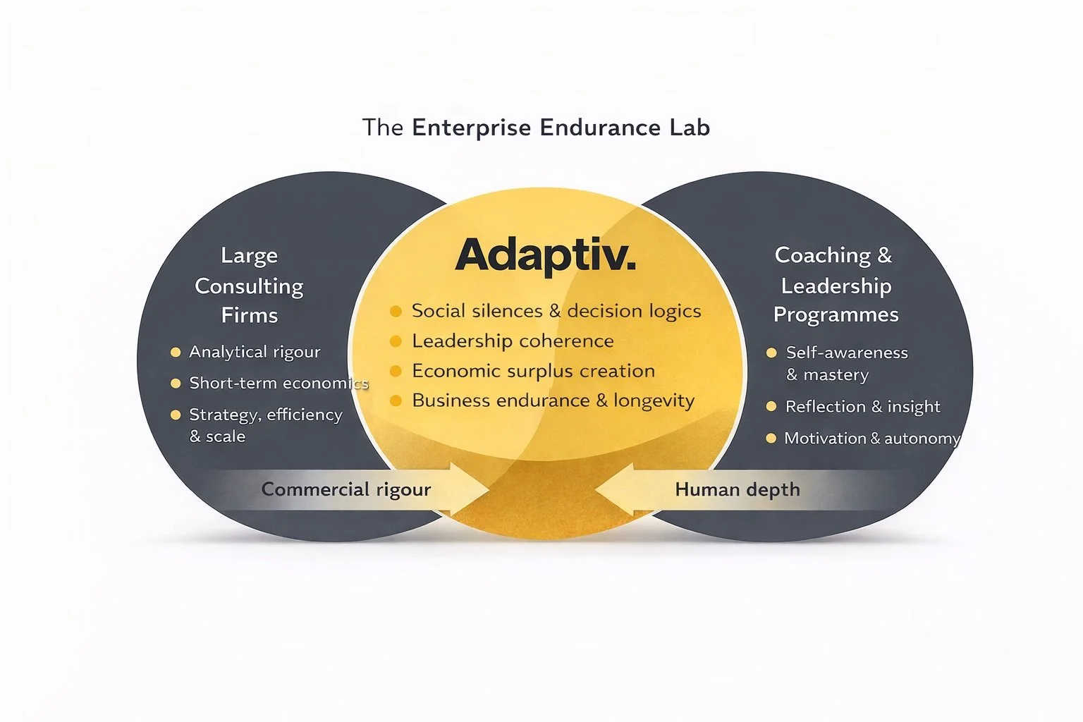 A diagram illustrating the relationship between large consulting firms, coaching & leadership programs, and adaptive principles, emphasizing social silences, decision logic, leadership coherence, and economic surplus for business endurance and longevity.