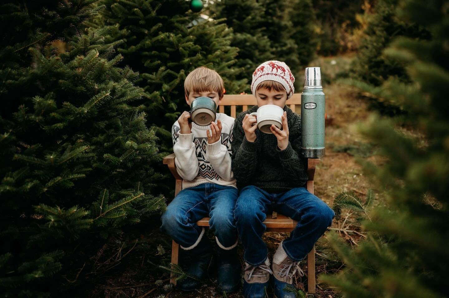 Tree farming isn&rsquo;t easy! Hot cocoa breaks are a must! 🍪🎄