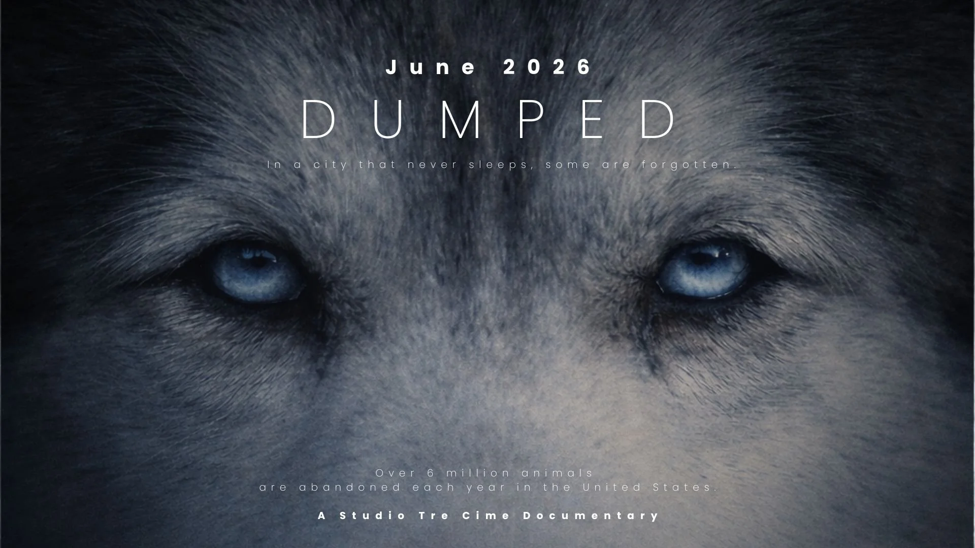 A person with short, spiked, purple and black hair wearing glasses, earrings, and a bike jacket with a neon yellow collar, looking off to the side at night with blurred city lights in the background.