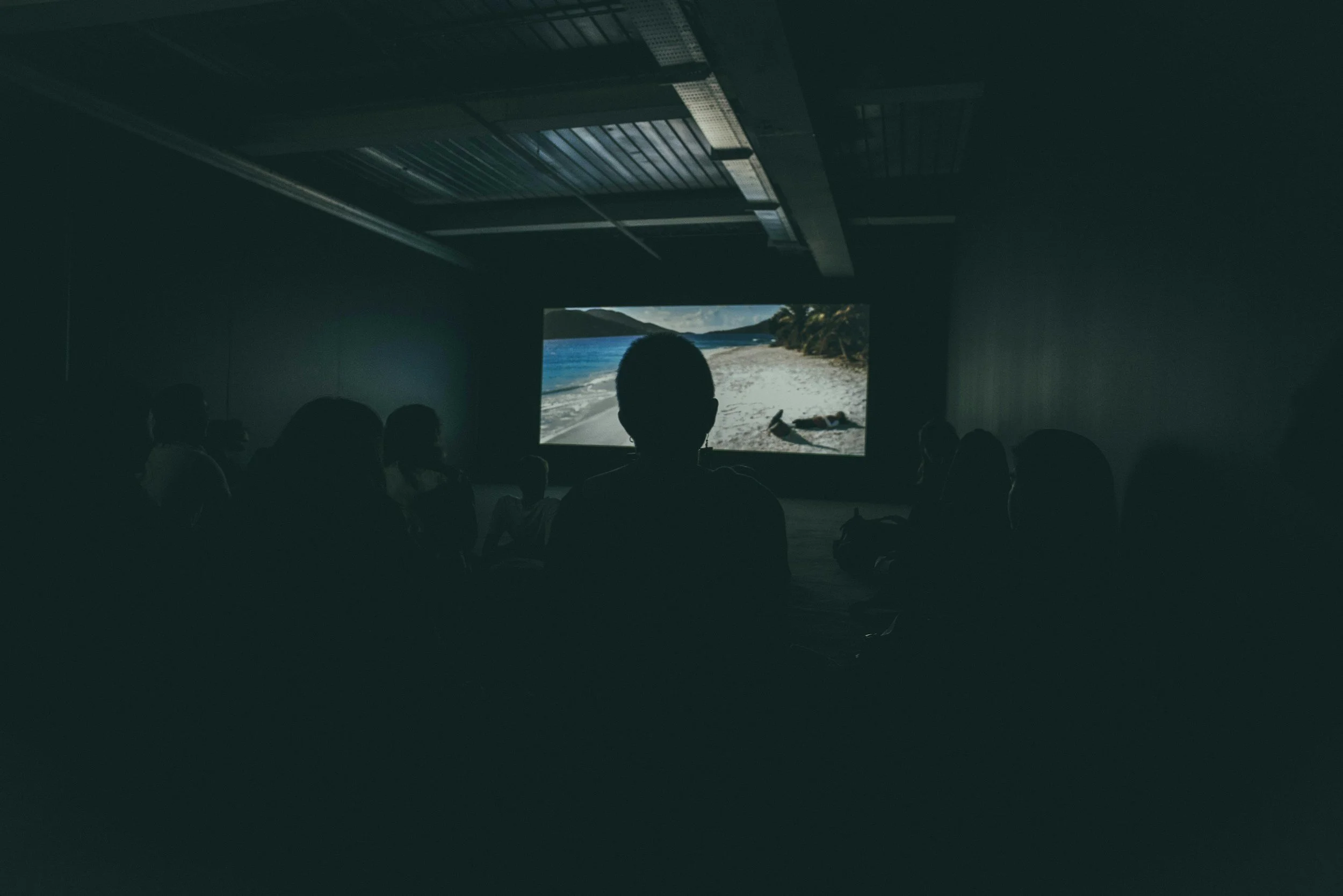 People watching a video of a beach landscape in a darkened room.