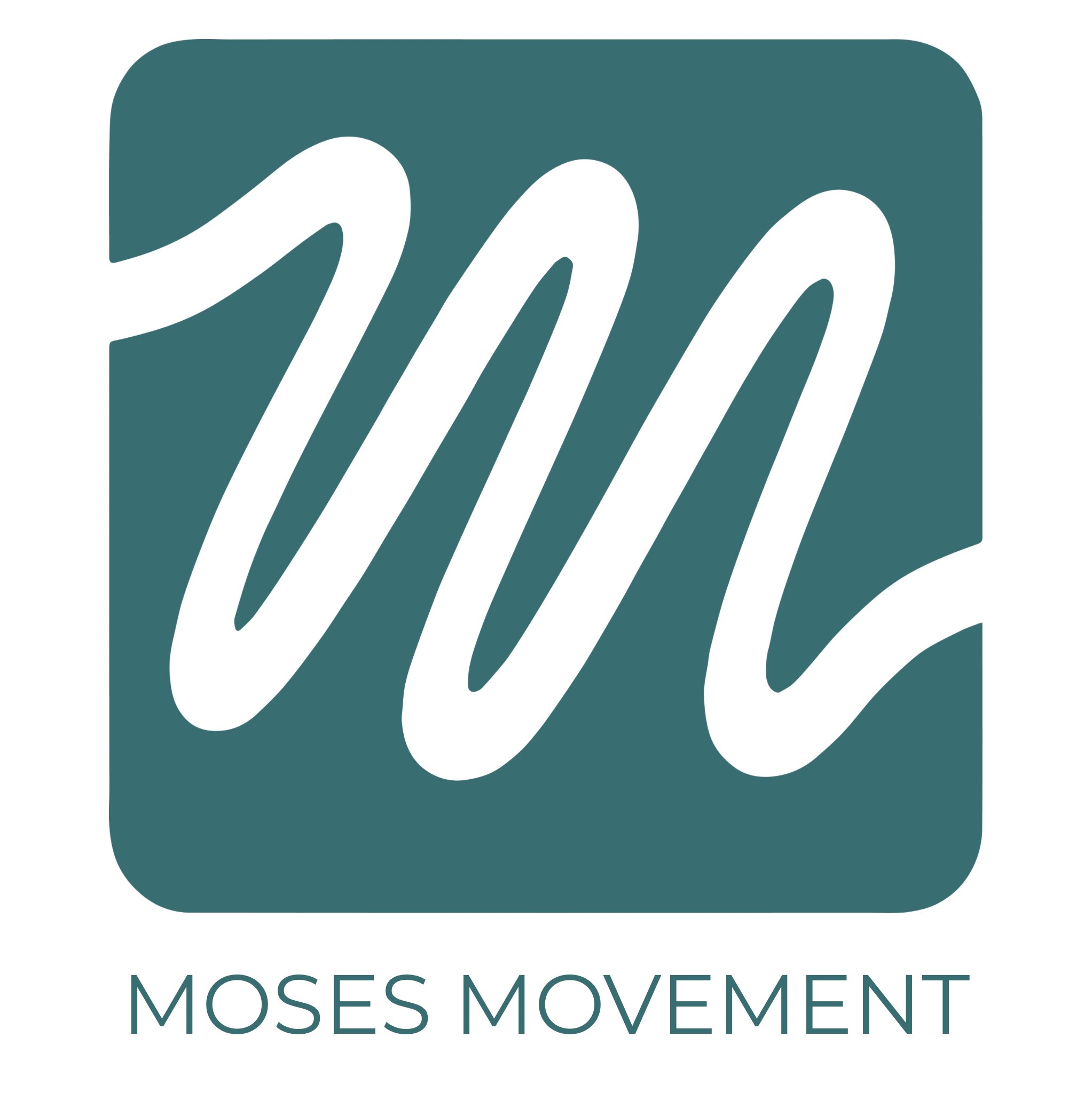 MOSES MOVEMENT.jpeg