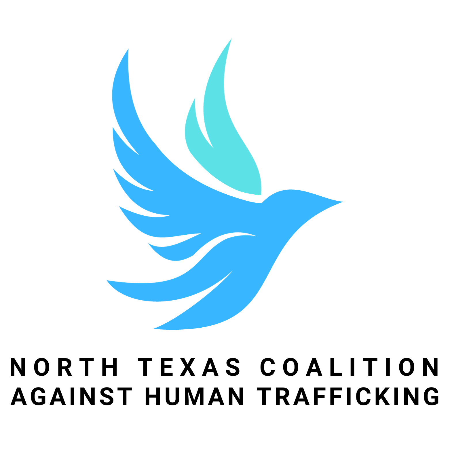 Square Logo - Transparent.png