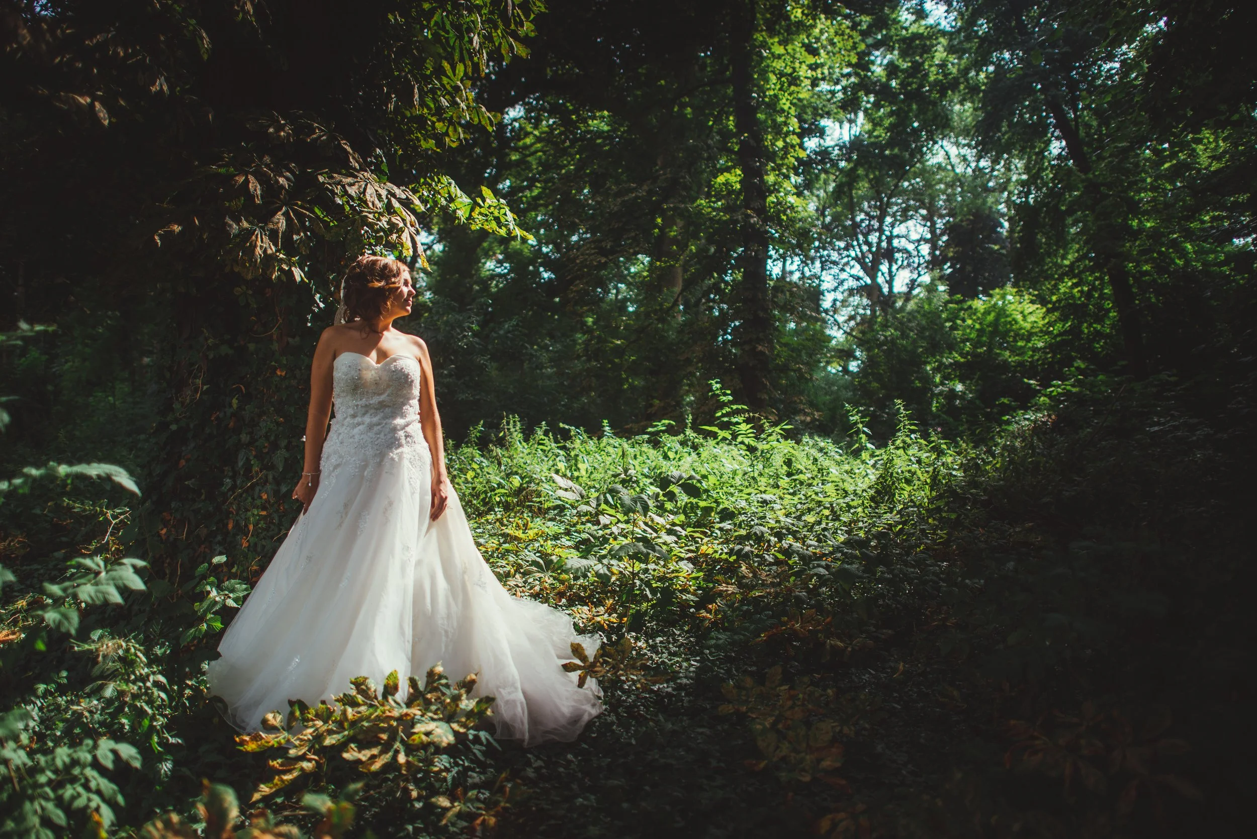 KVDS-20150808-154821-NIKON D800.jpg