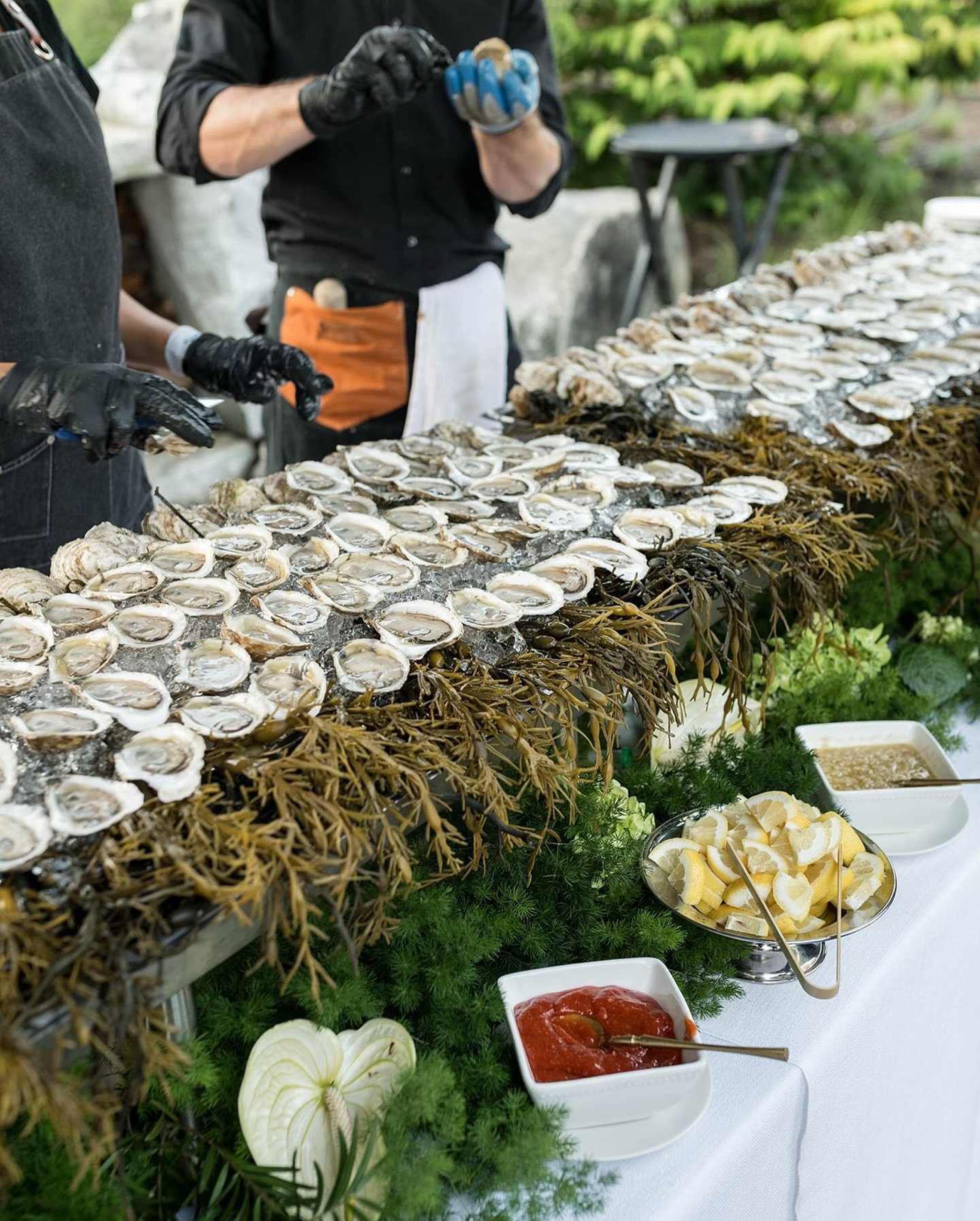 A very &lsquo;Summer in New England&rsquo; cocktail hour 🥂🦞 

Bride: @maddiekcarnes 
Planner: @sheluxewed 
Caterer: @trilliumcaterers