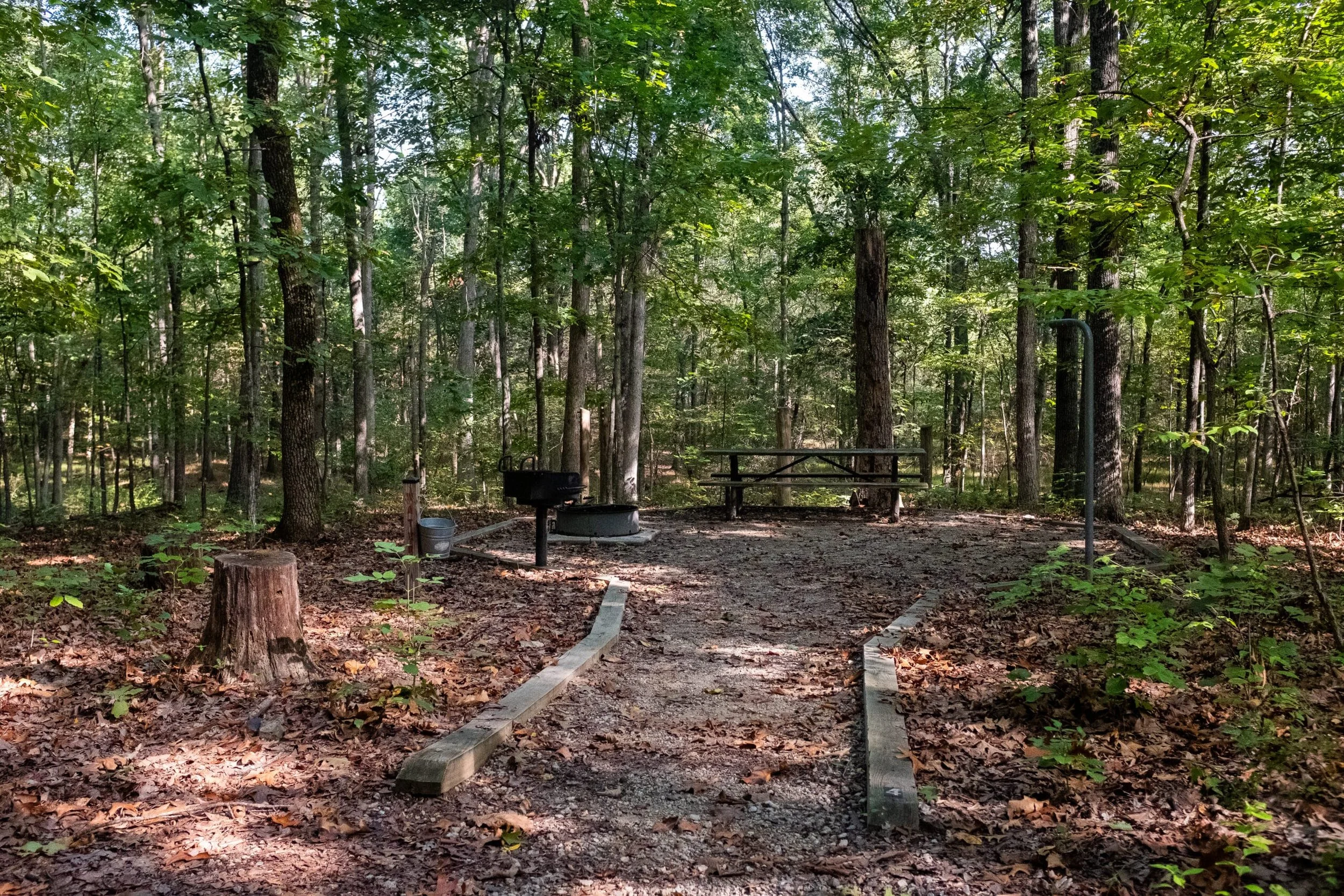 Willowsford Conservancy Grant Family Campsite Cleanup and Habitat Restoration