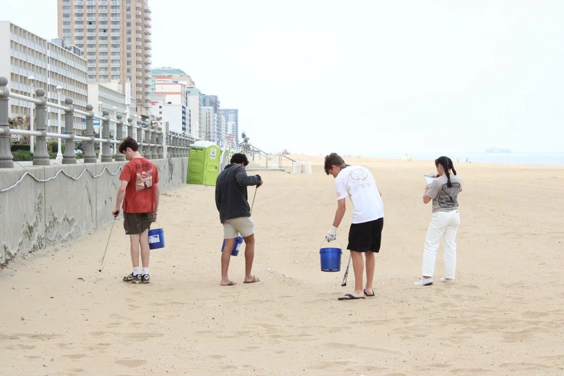 VB cleanup.jpg