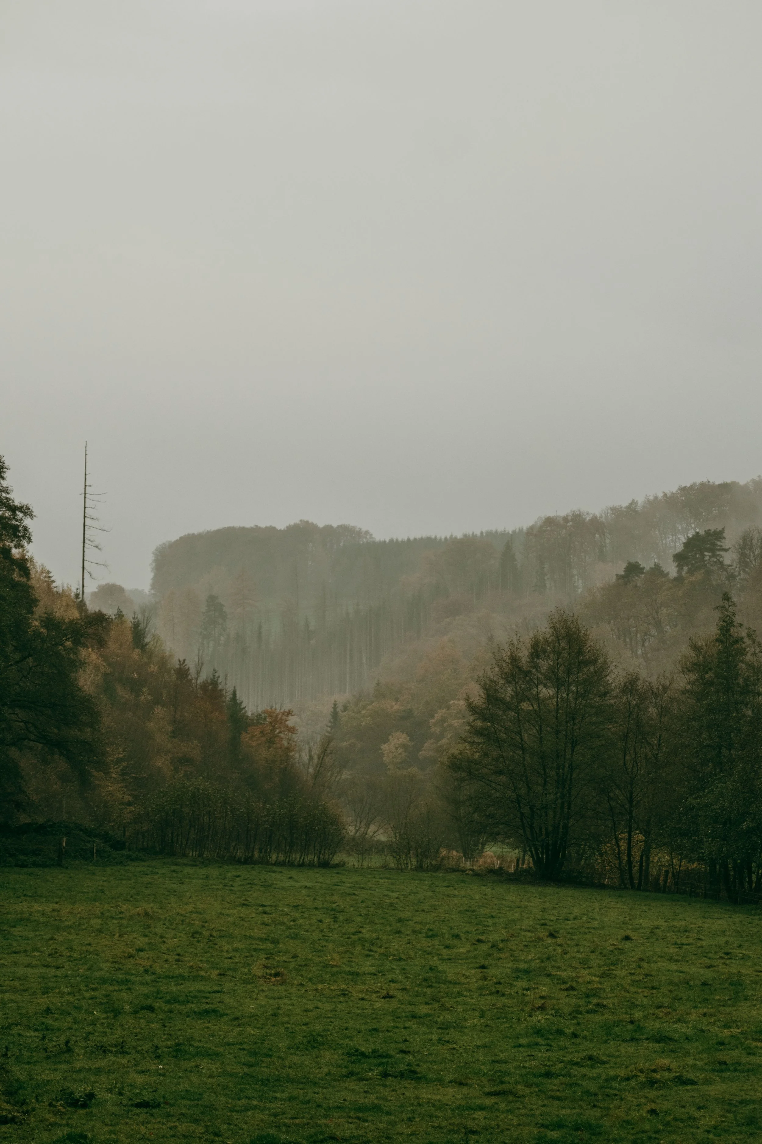 DSCF5688.jpg