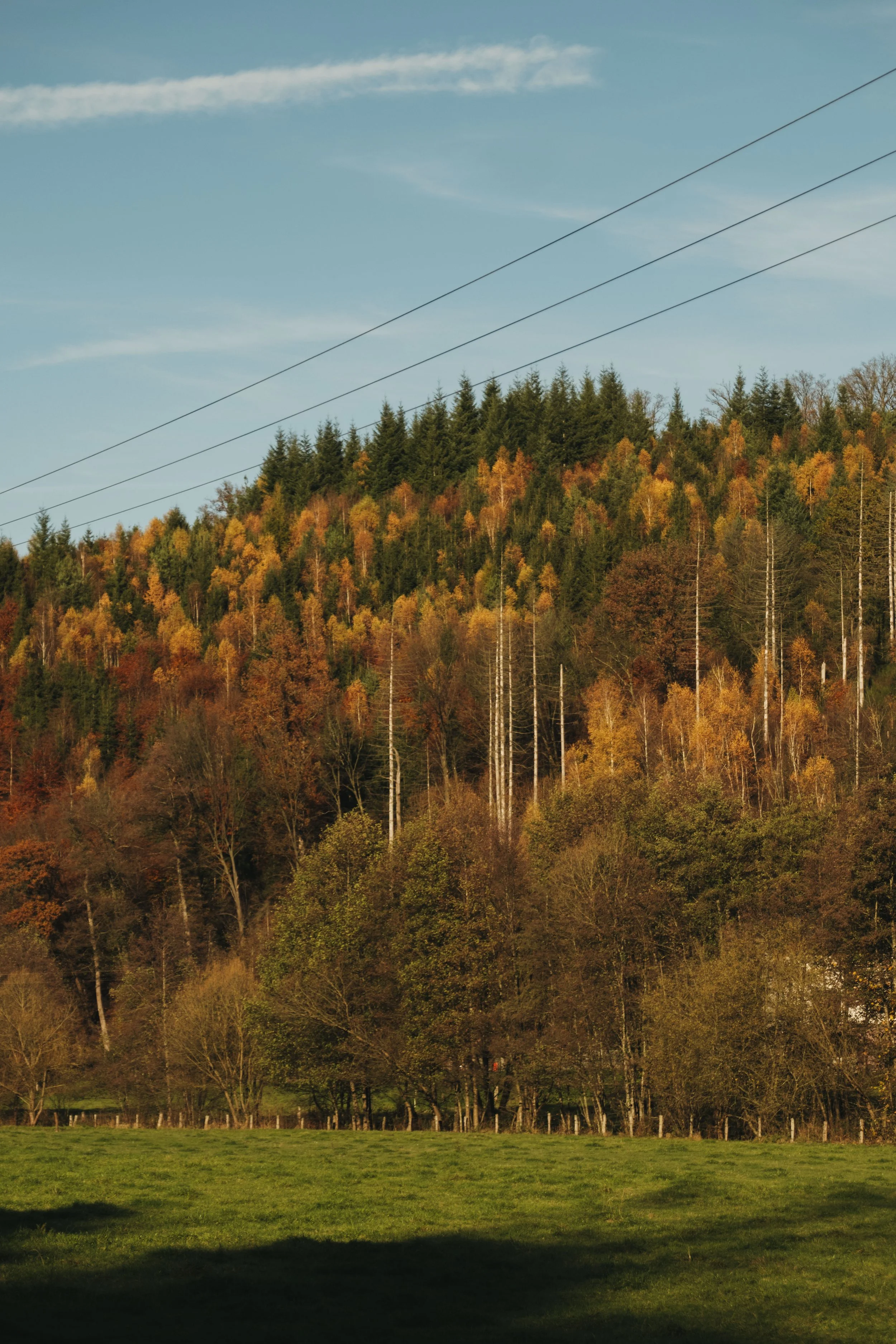 DSCF5237.jpg