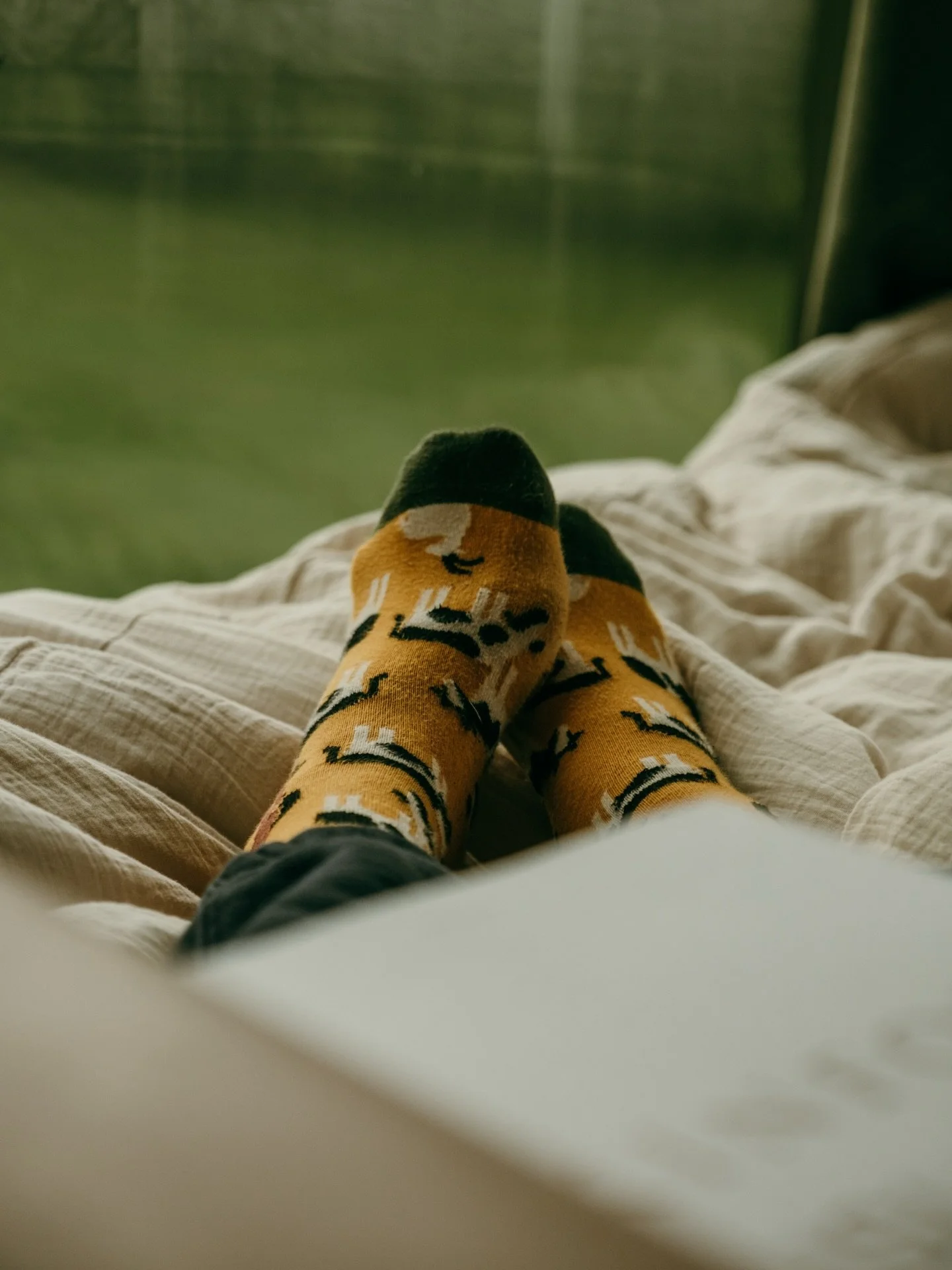 One rainy day in a cozy cabin 🍂