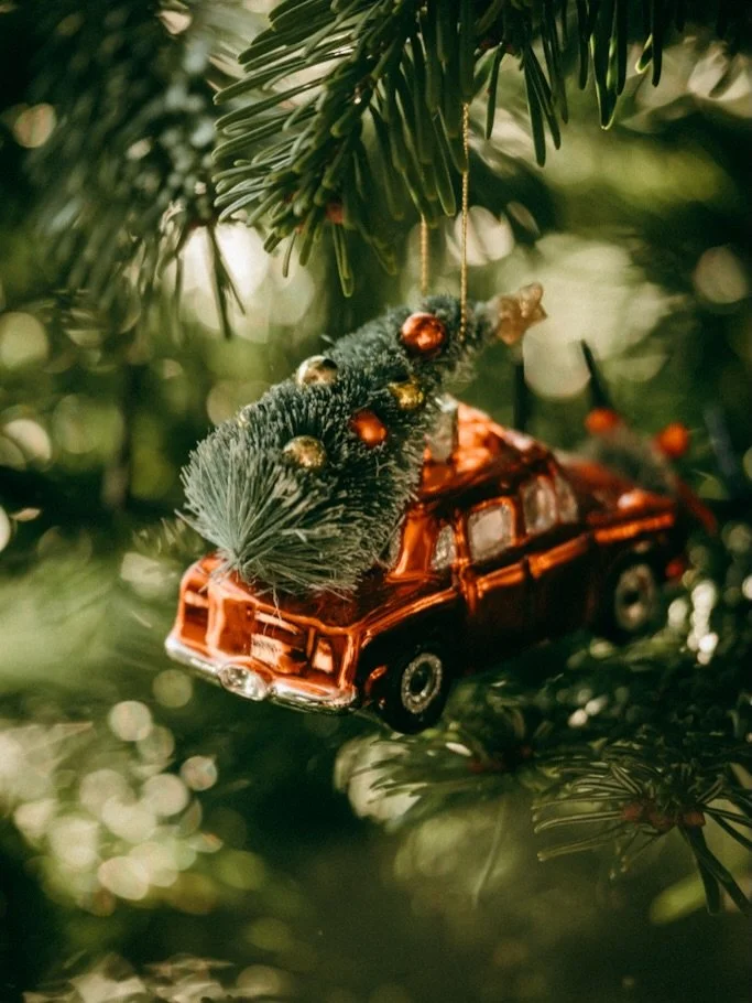 While everyone is posting their achievements or failures this year, I just want to post our Christmas tree and cute Leo ☺️

Happy New Year, everyone! 🍾
Wishing you lots of joy, love, growth, and the courage to achieve all your goals.

And don&rsquo;