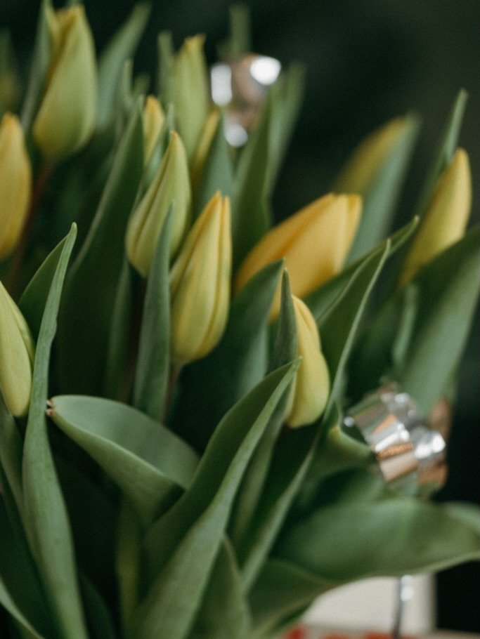 Hello my 39 🎉
Hello new chapter&hellip; 
Hello my new year&hellip; 

It will be&hellip; another, exciting, stressful, joyful, and full of challenges, love, care, experience and so much fun year✨

Thanks @danielvossphotography for making this morning