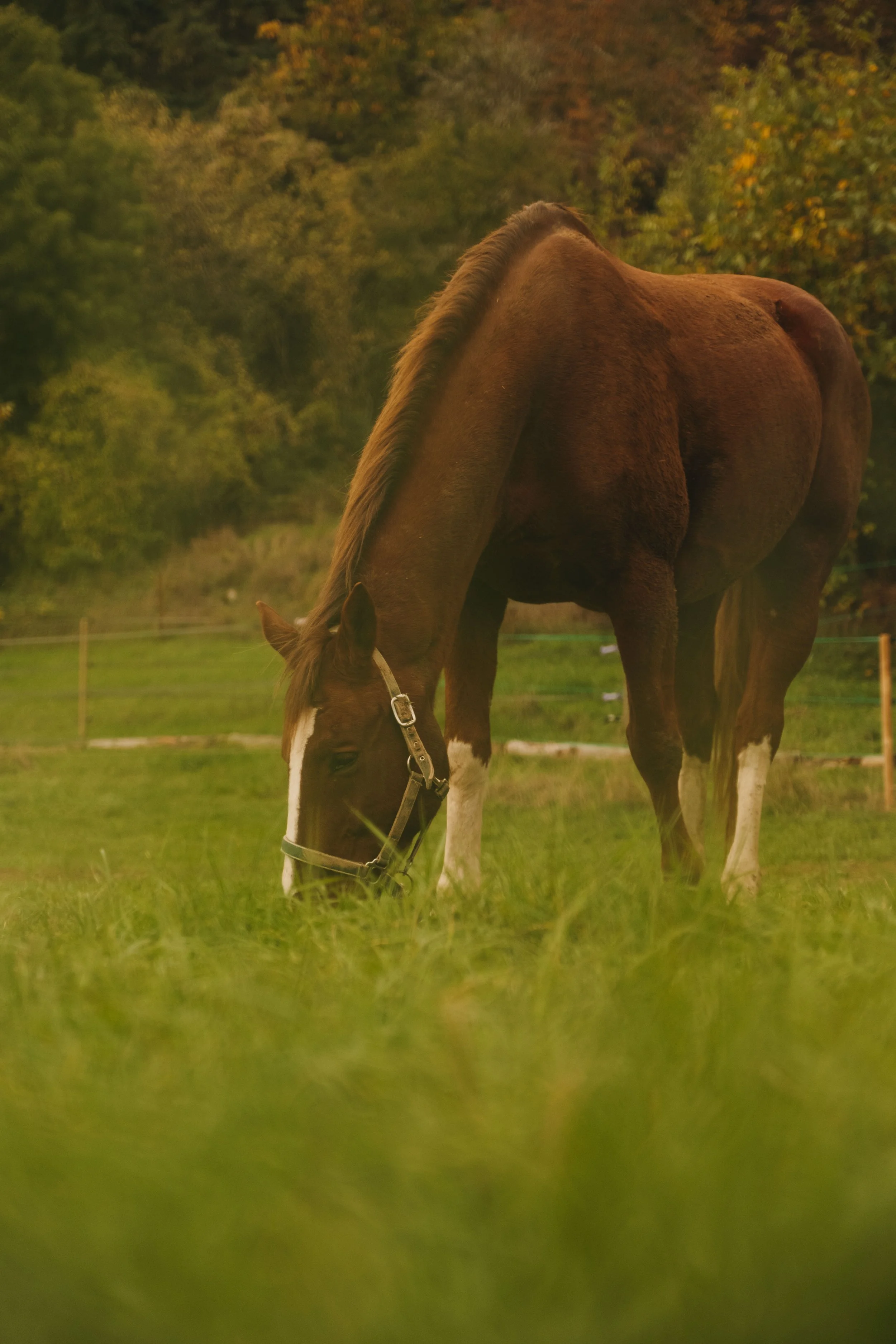 DSCF4473.jpg