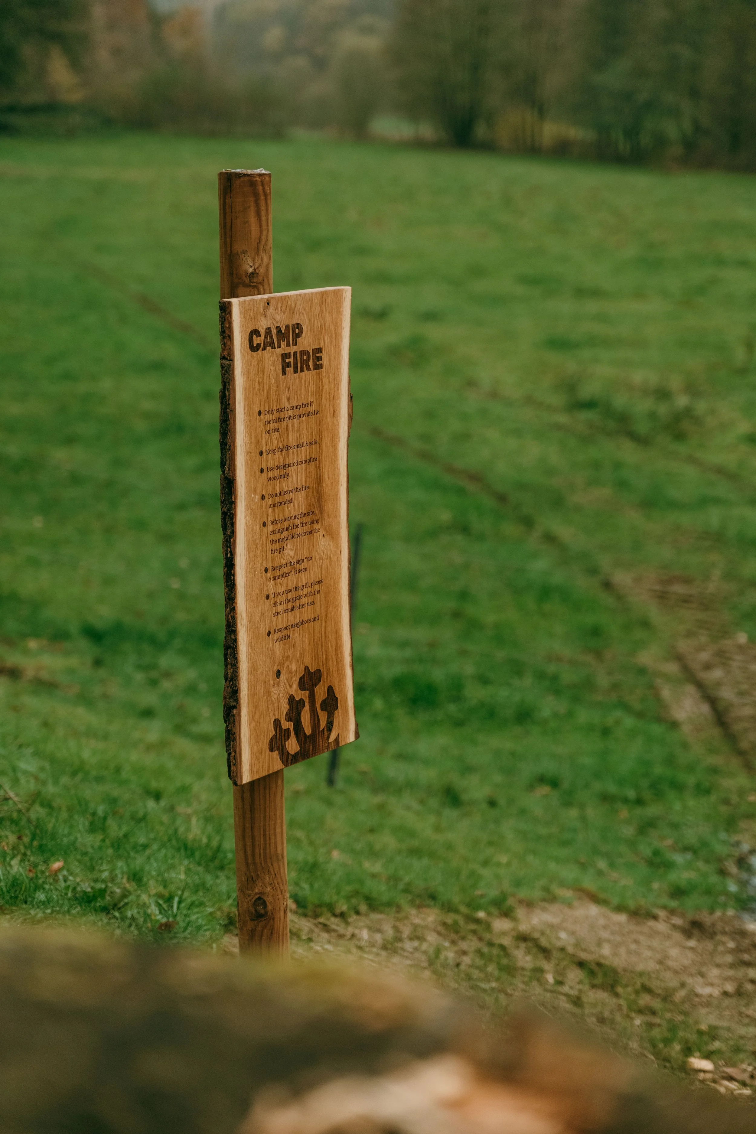 DSCF5391.jpg