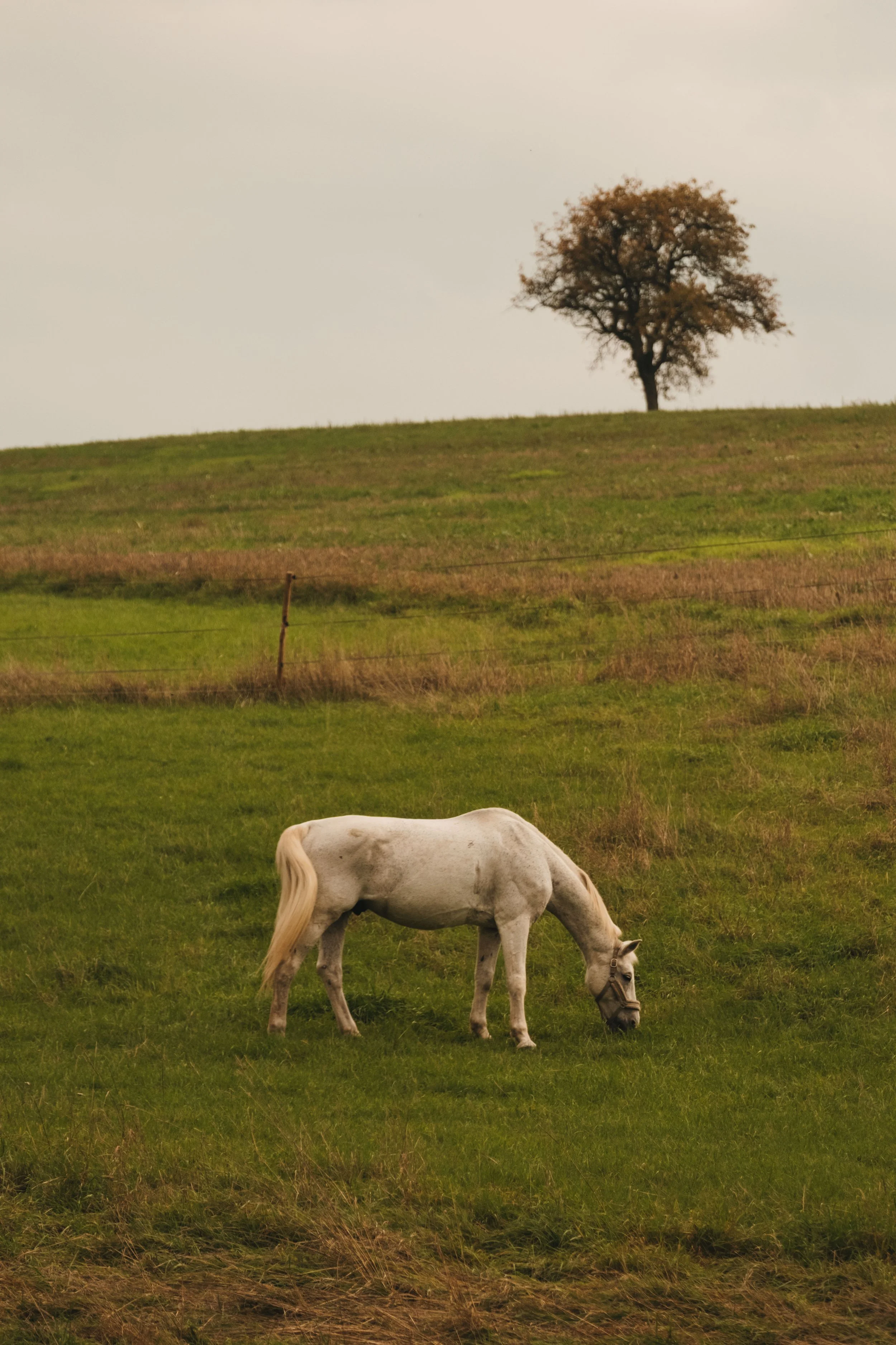 DSCF4509.jpg