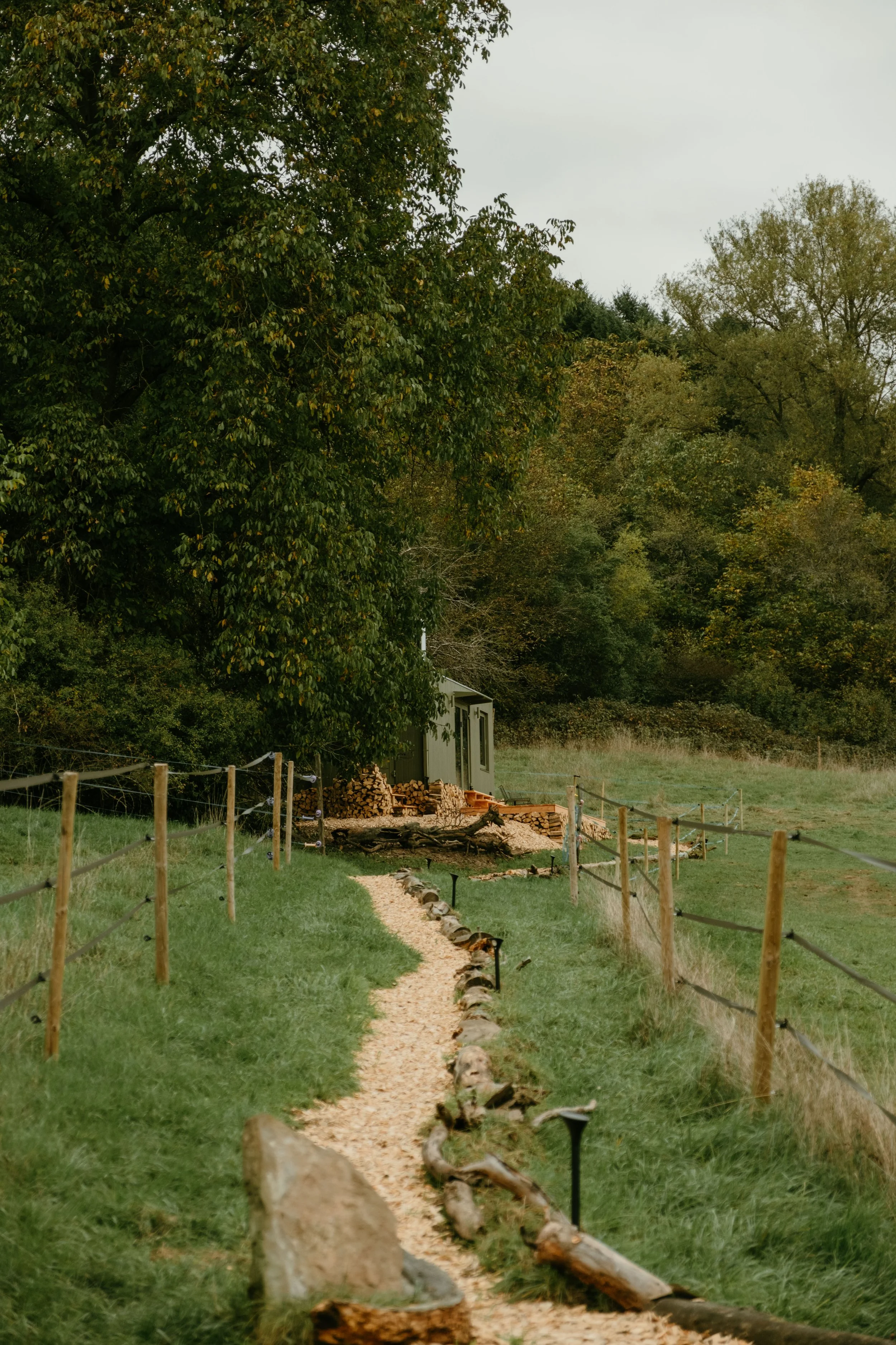 DSCF4994.jpg