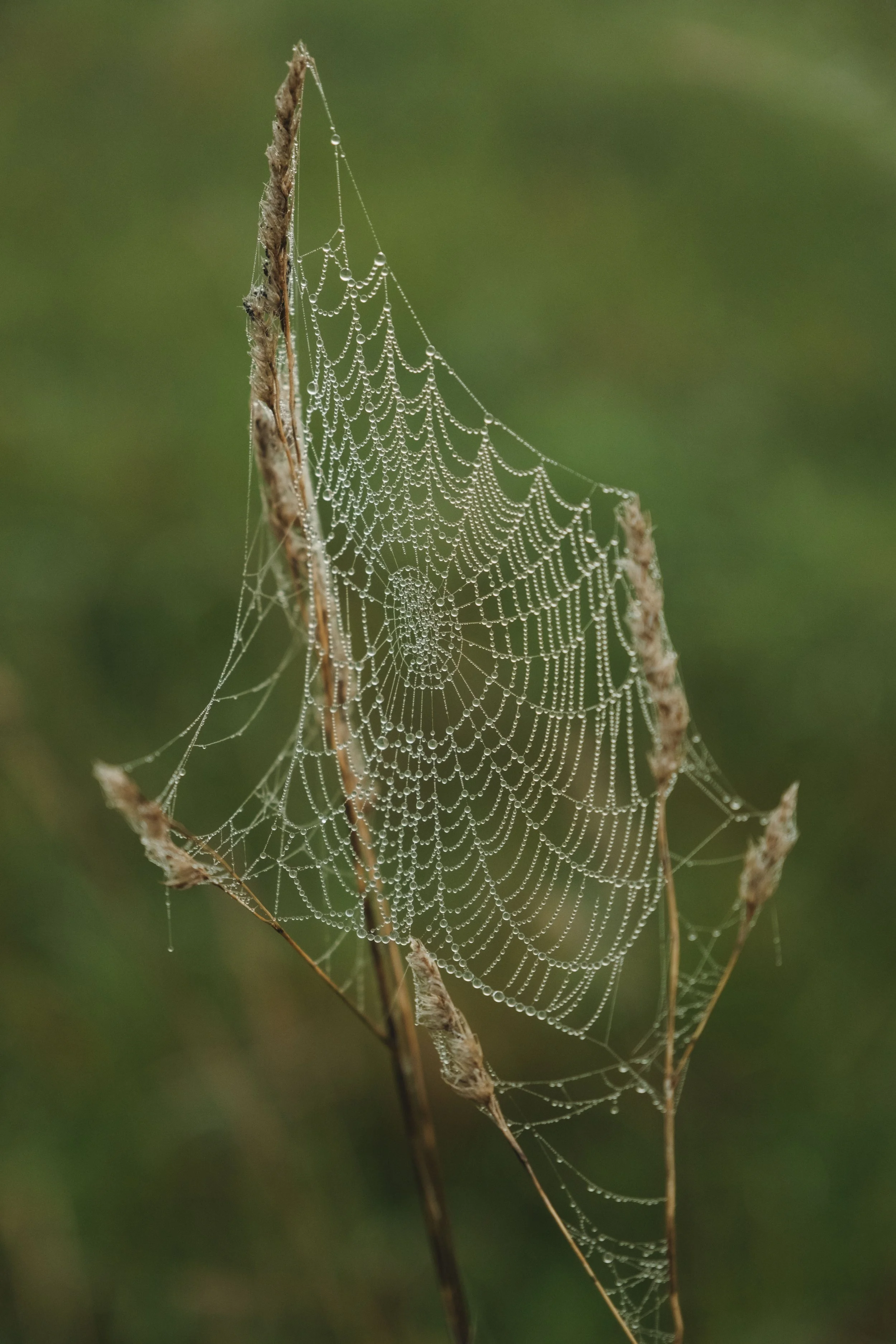 DSCF4144.jpg