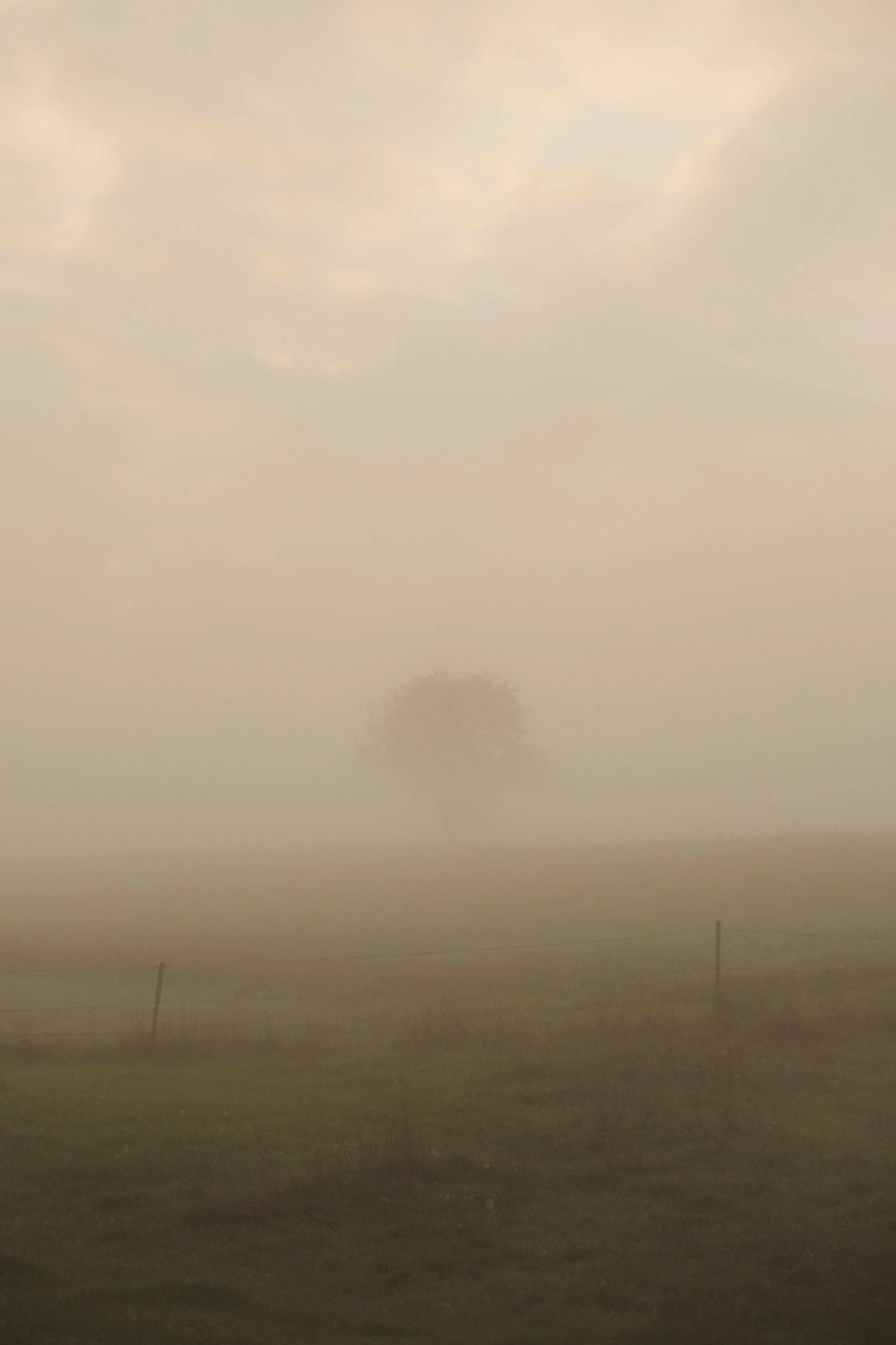 DSCF4161.jpg