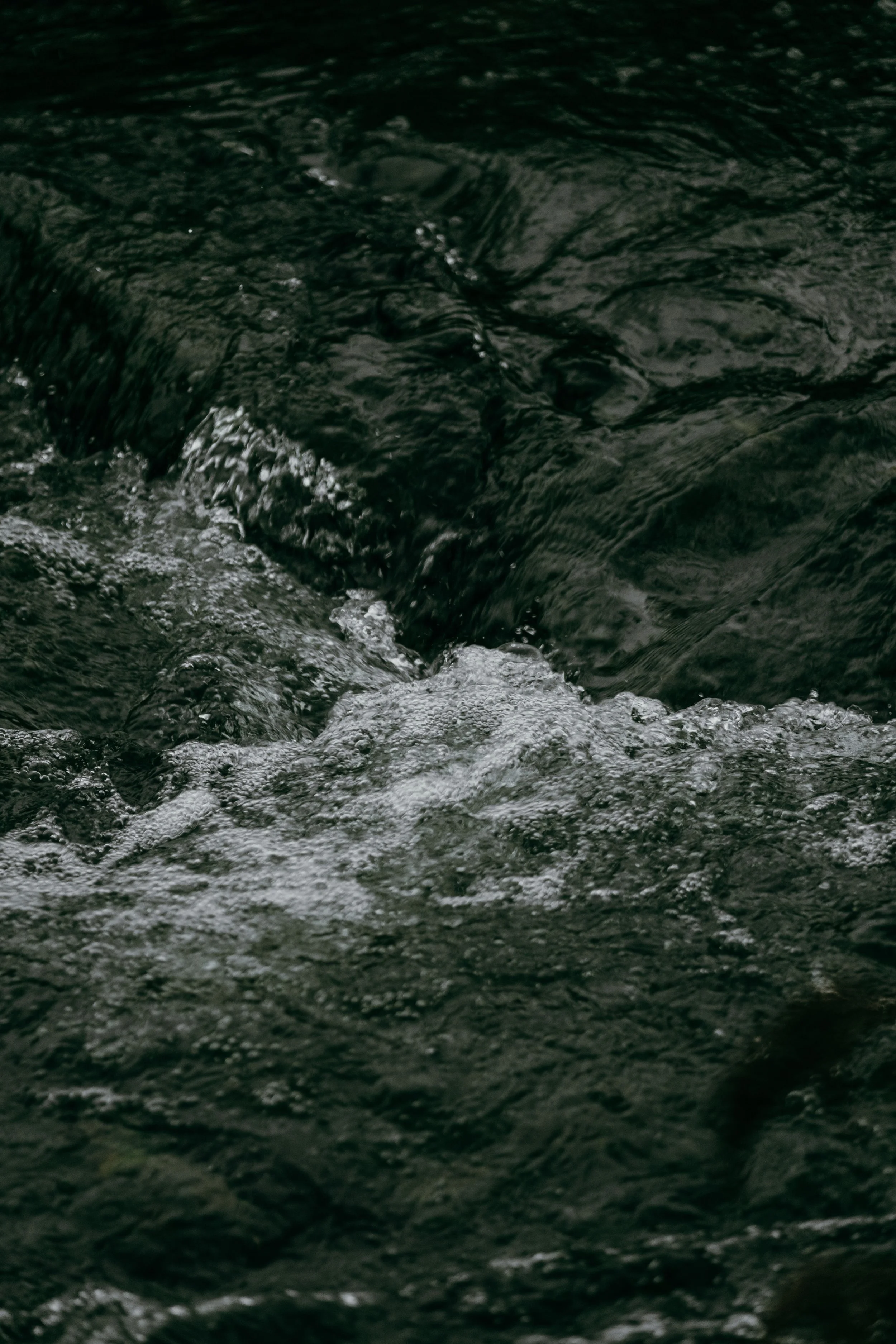 DSCF5629.jpg