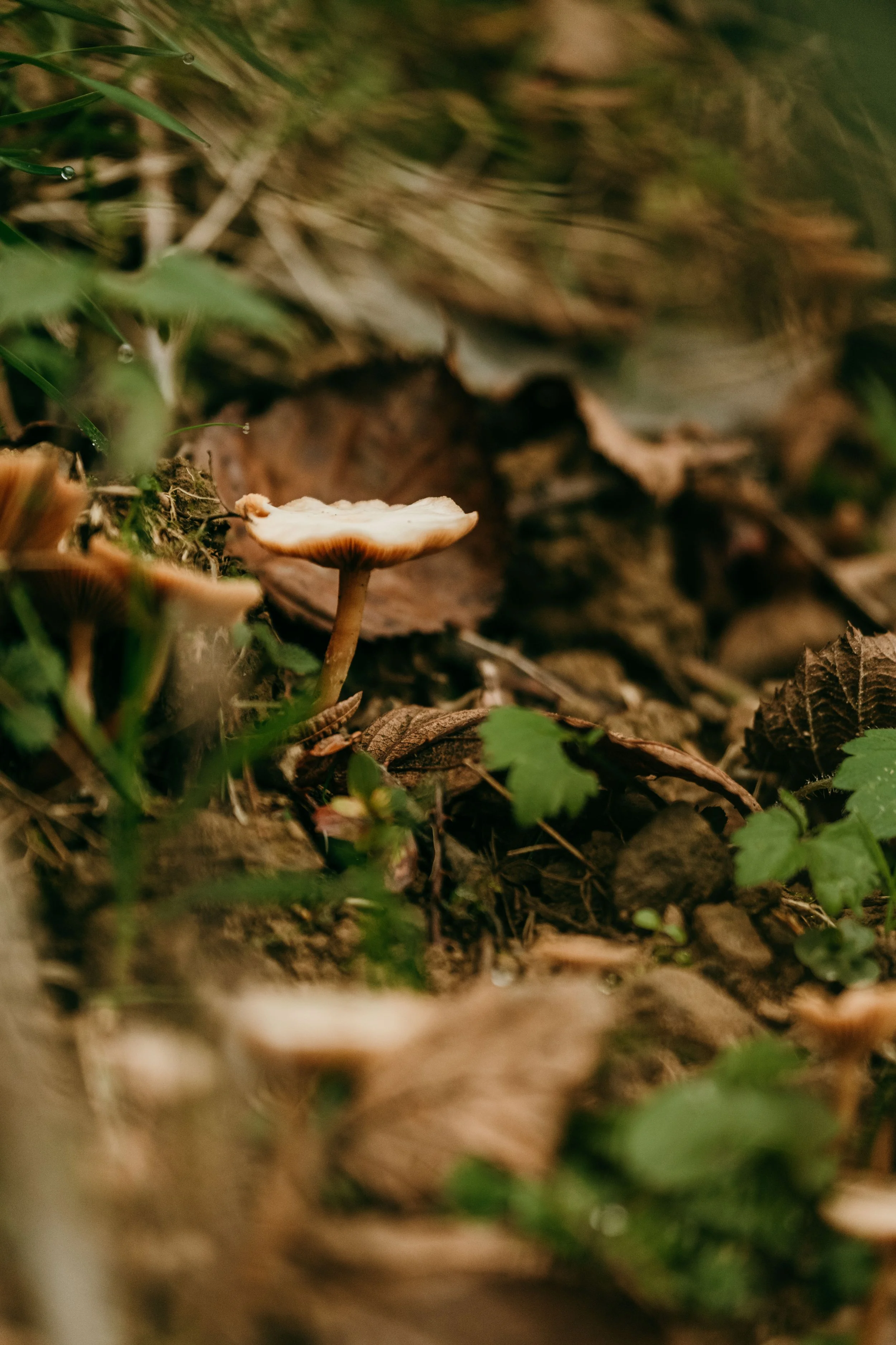 DSCF5414.jpg