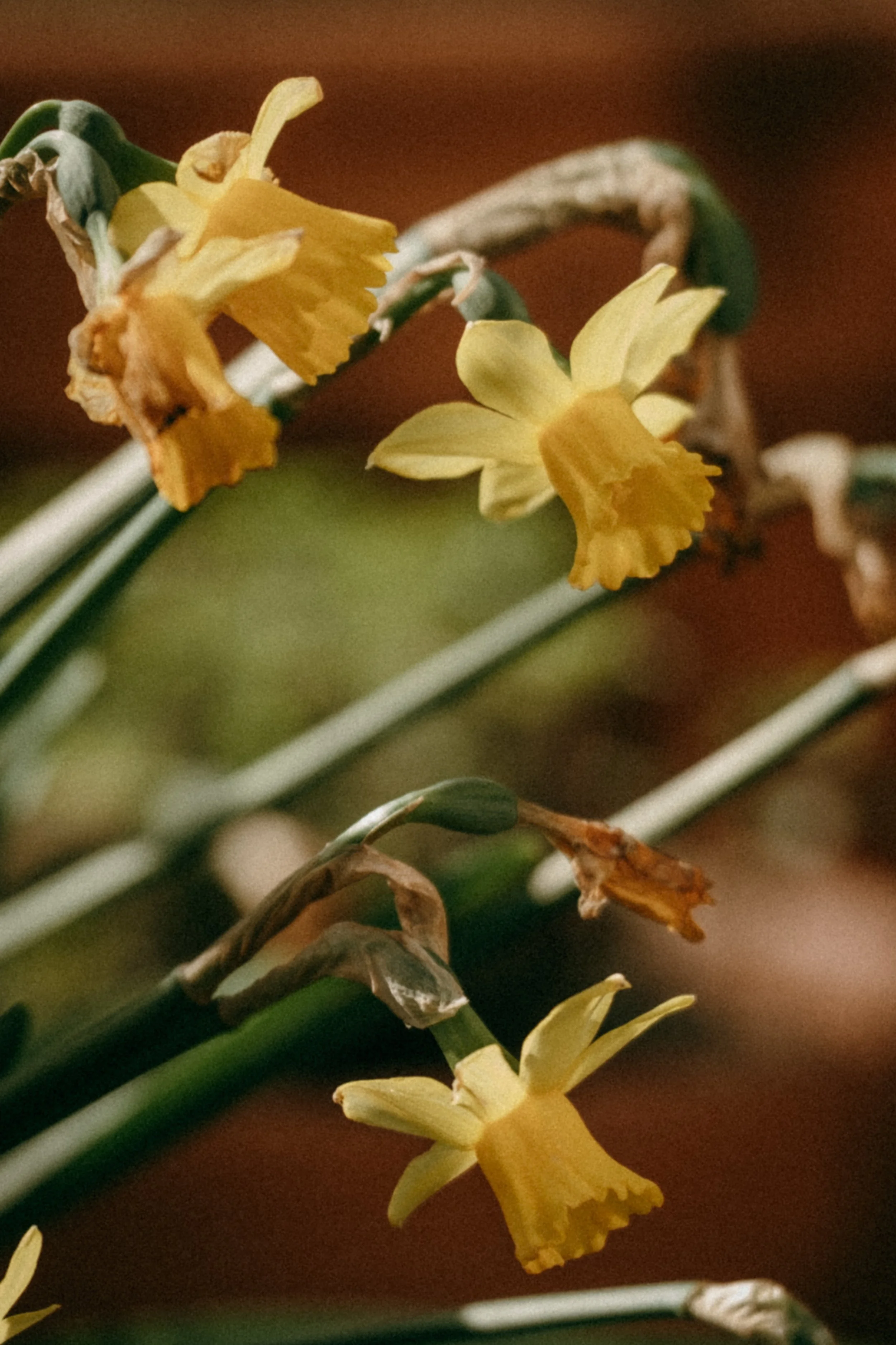 DSCF5947.jpg