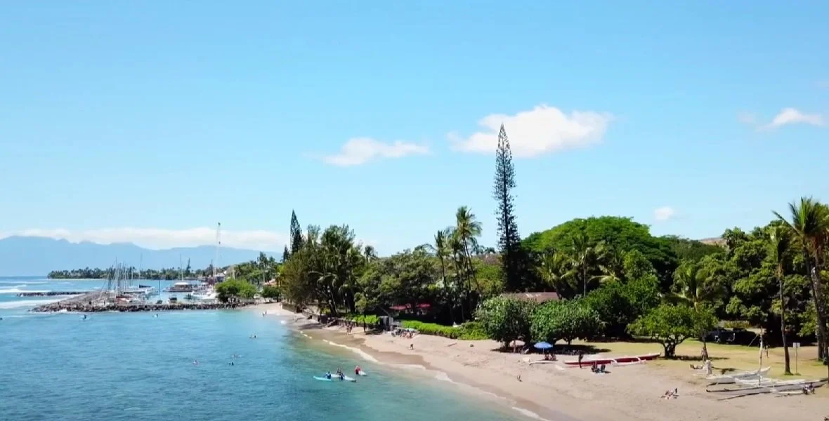 Screenshot 2024-05-03 090154.jpg