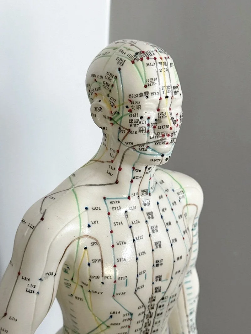 acupuncture_meridians_points
