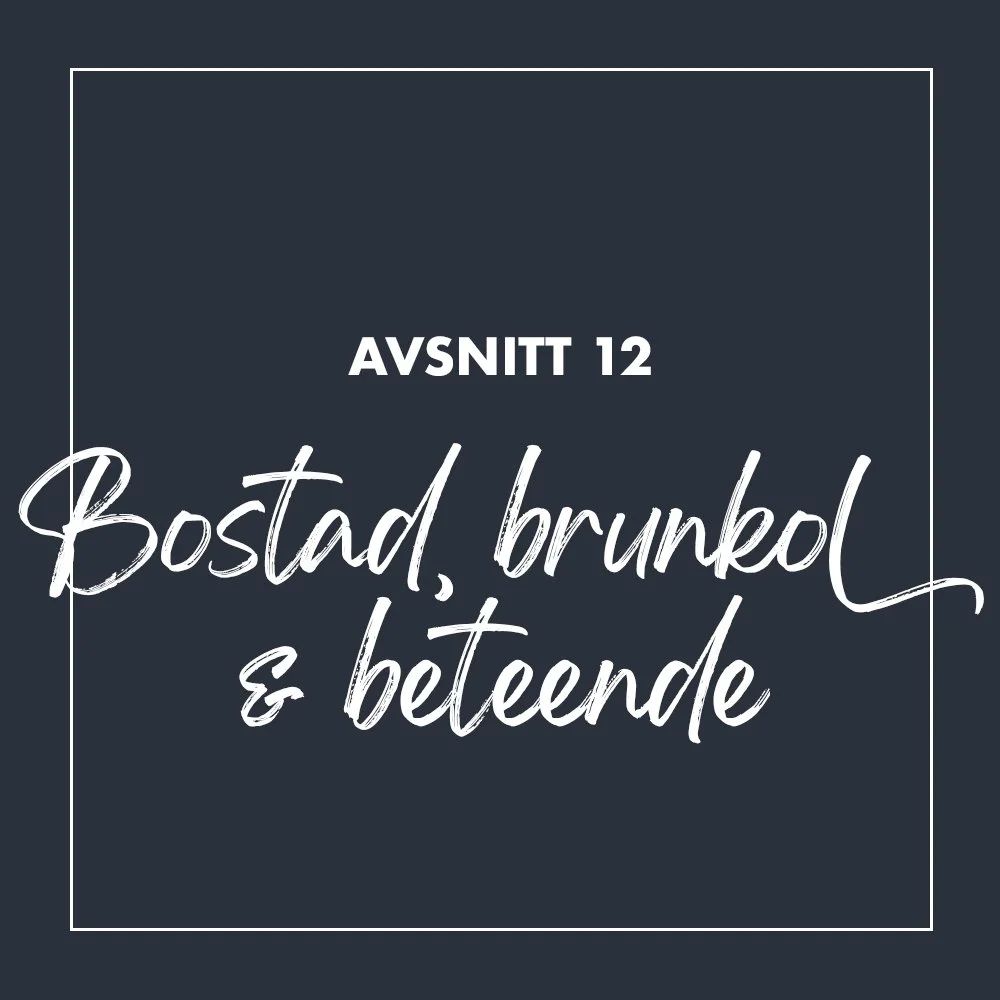 12 Energi Plan B-podden.jpg