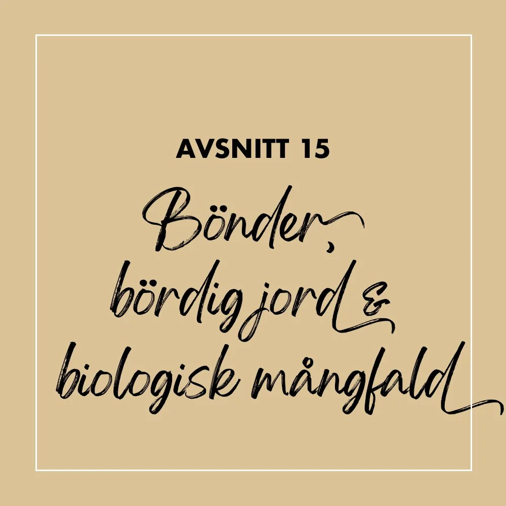 15 Eko Plan B-podden.jpg