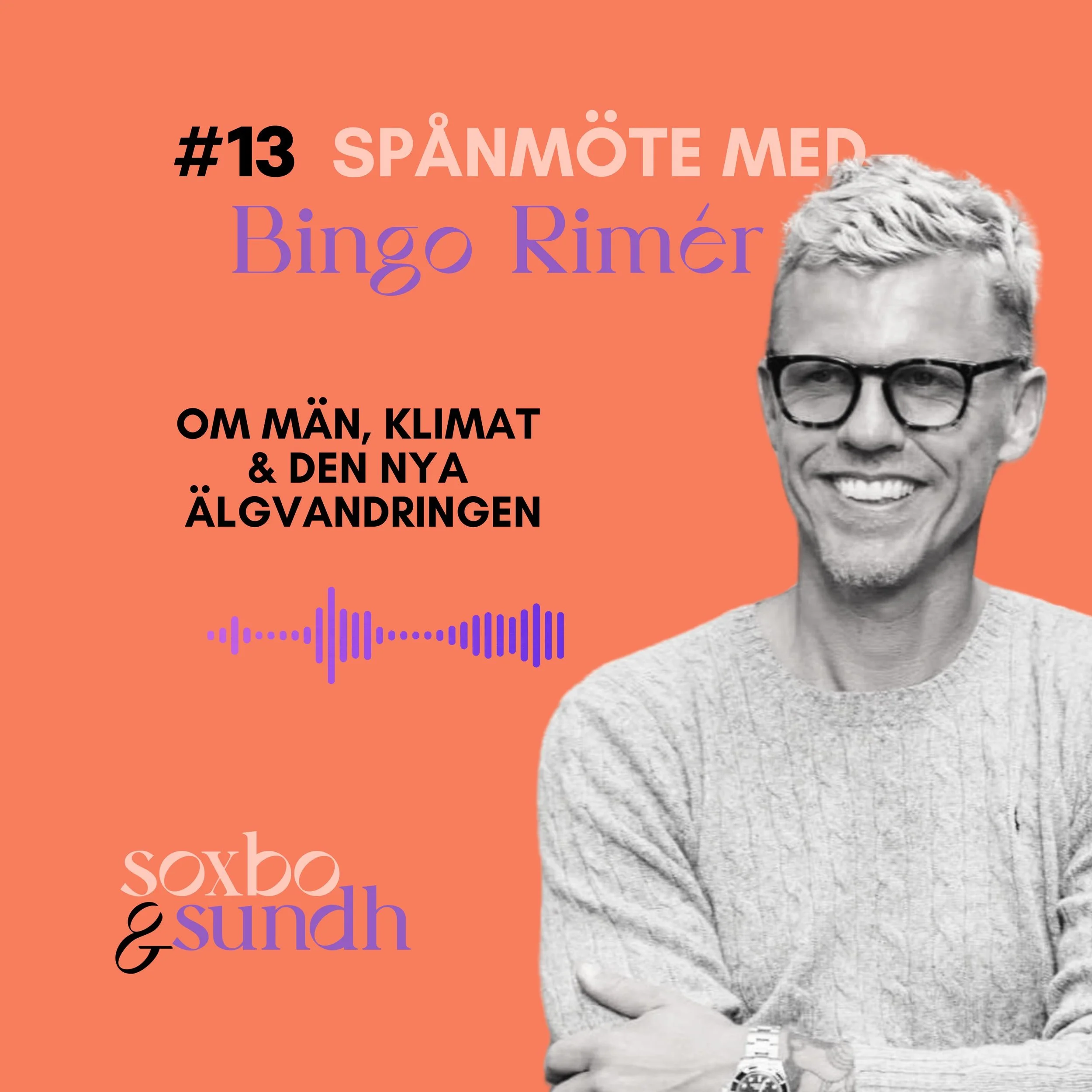 Omslagsbild Bingo Rimer.jpg