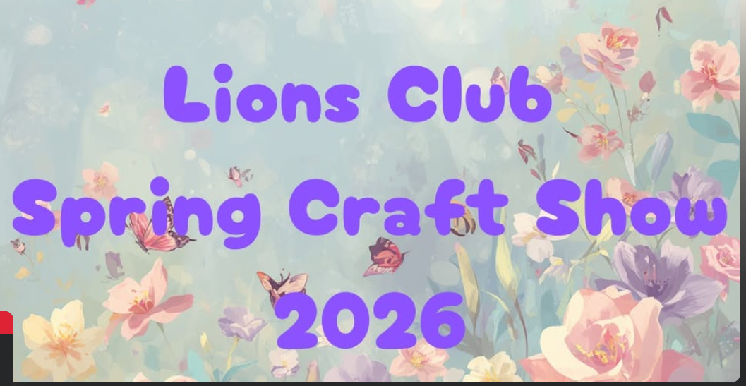 N Canton Lions Club Craft Show