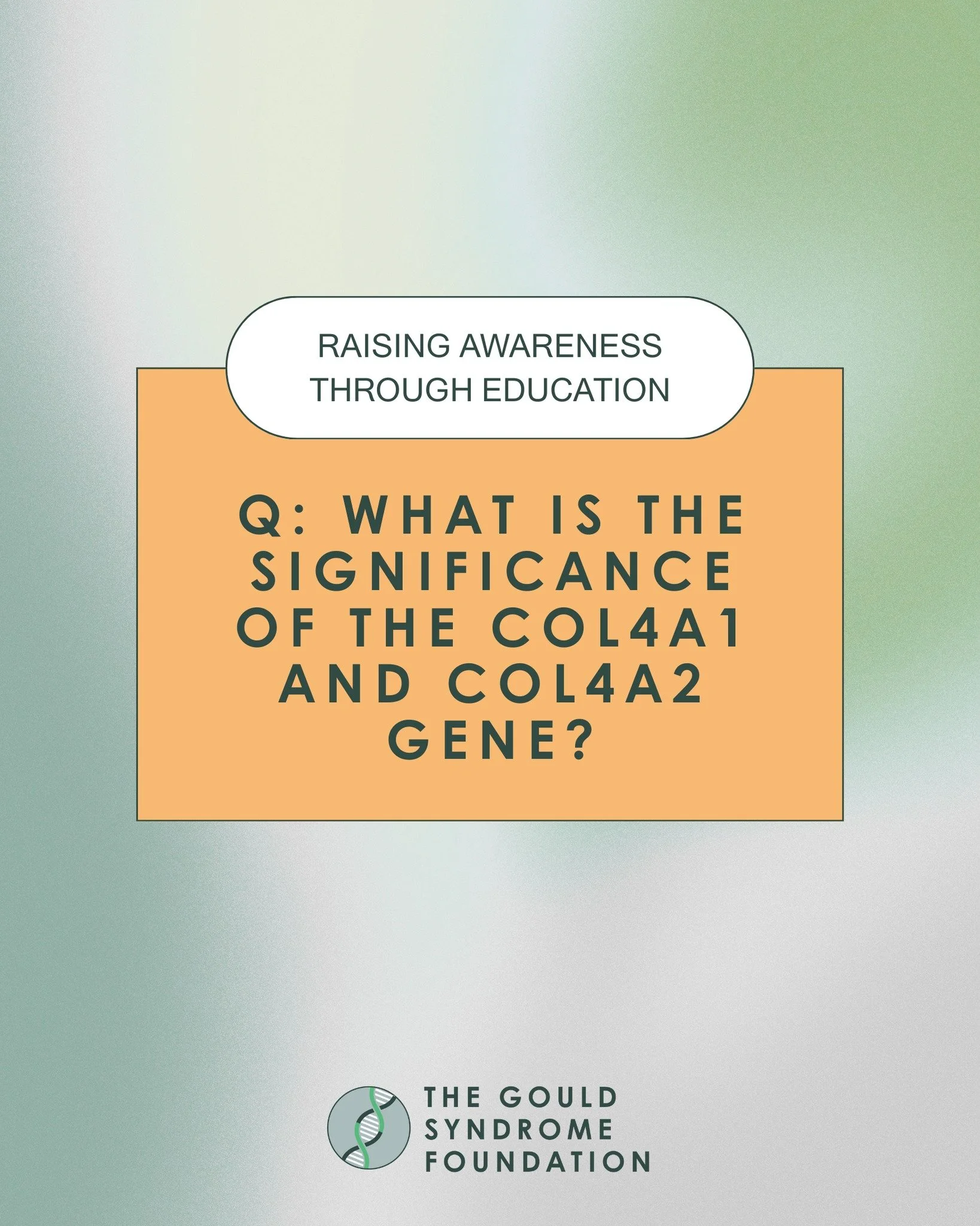 Knowledge empowers our rare disease community through greater awareness and deeper understanding. A common question we may ask ourselves upon diagnosis is: "What is the significance of these genes in the first place?"

In short, these genes
