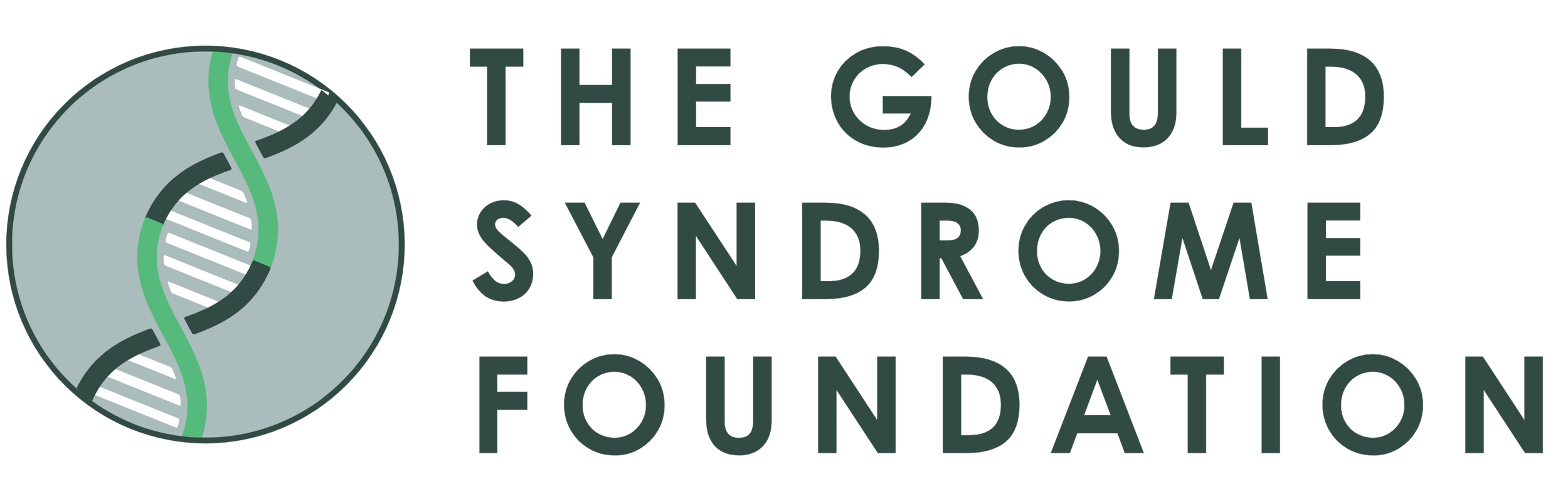 The Gould Syndrome Foundation, image size:2500x781