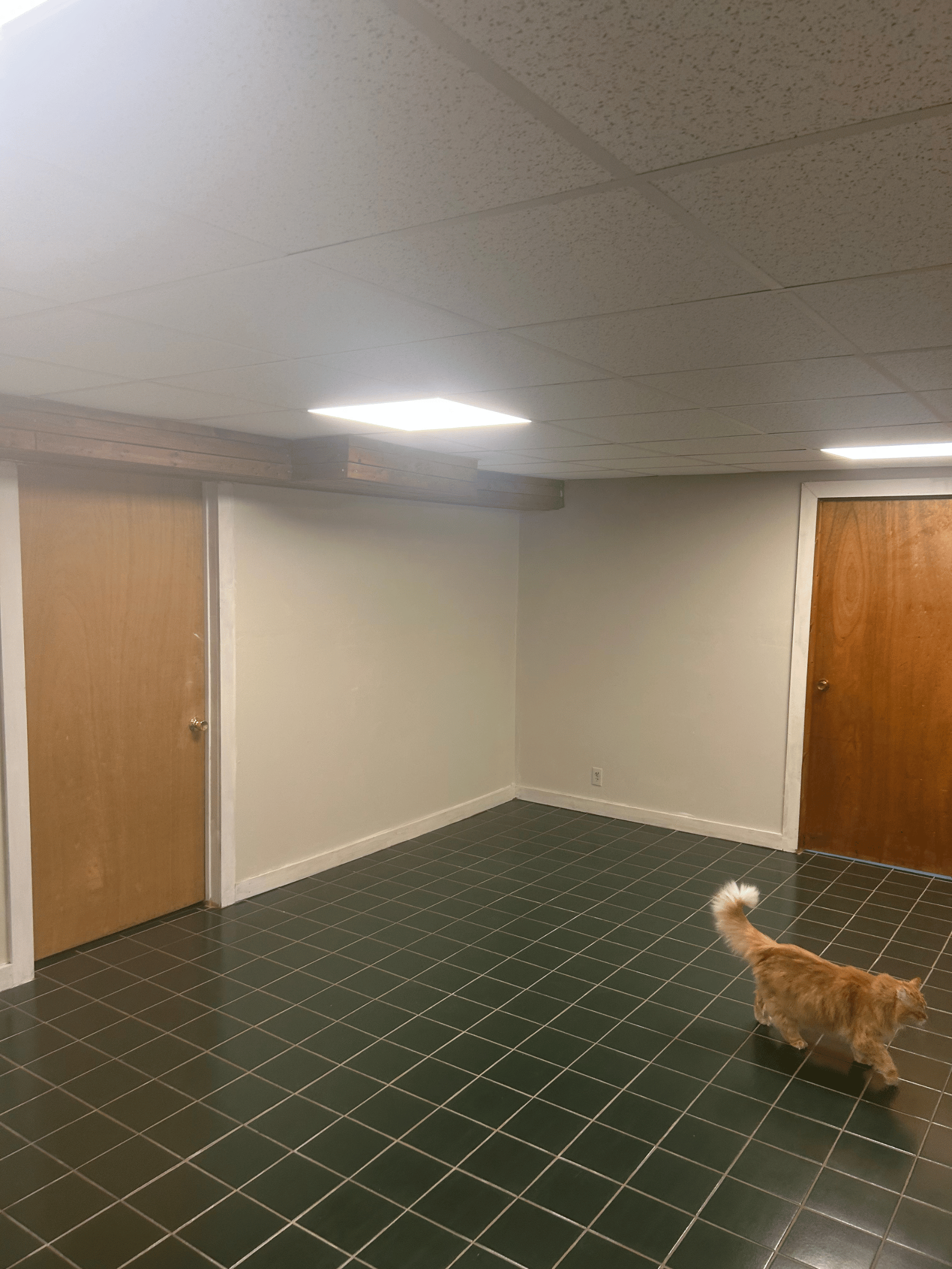 Untitled design - 2025-12-22T141539.094.png