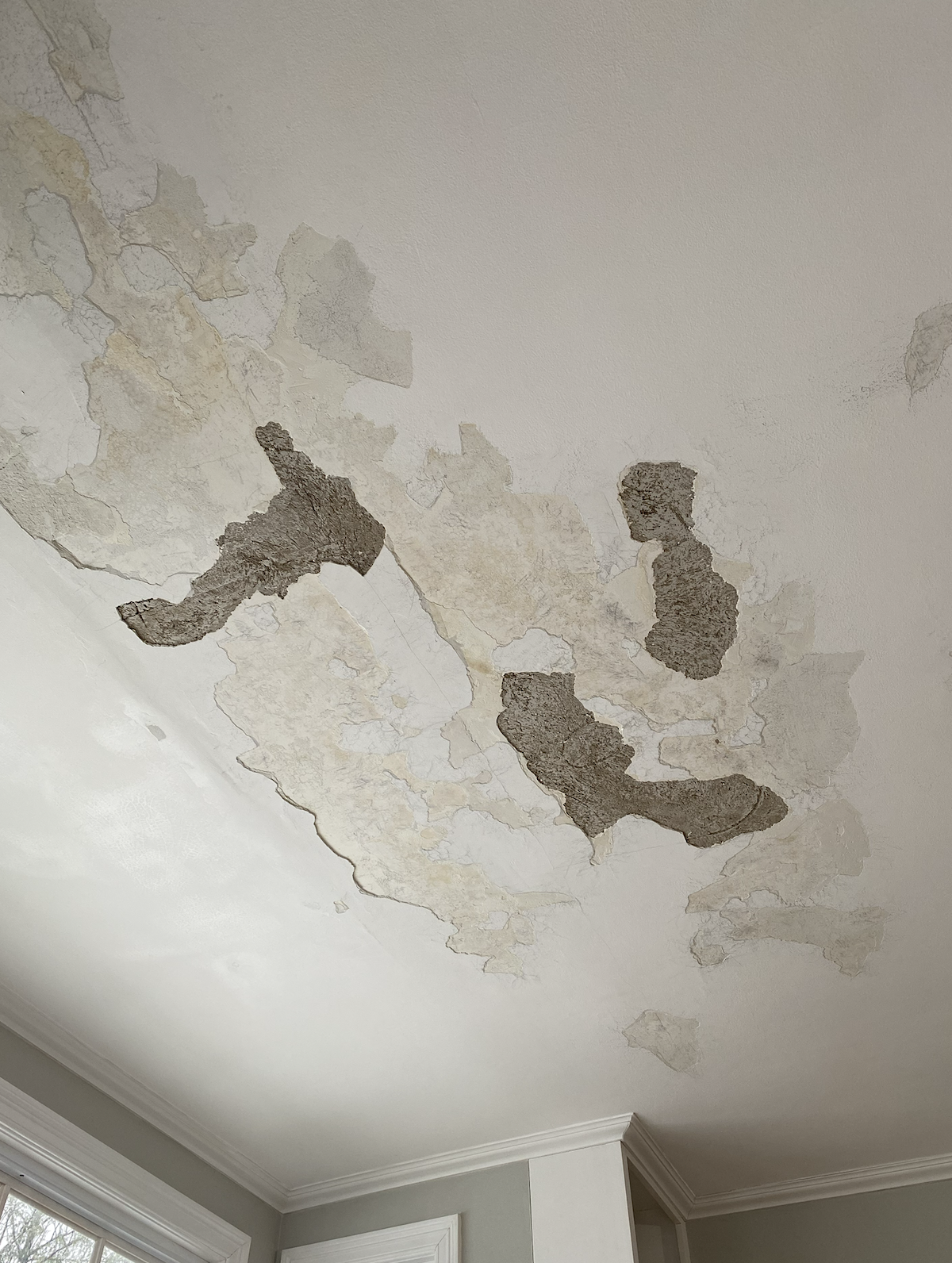 Screenshot 2026-03-10 at 4.53.47 PM.png