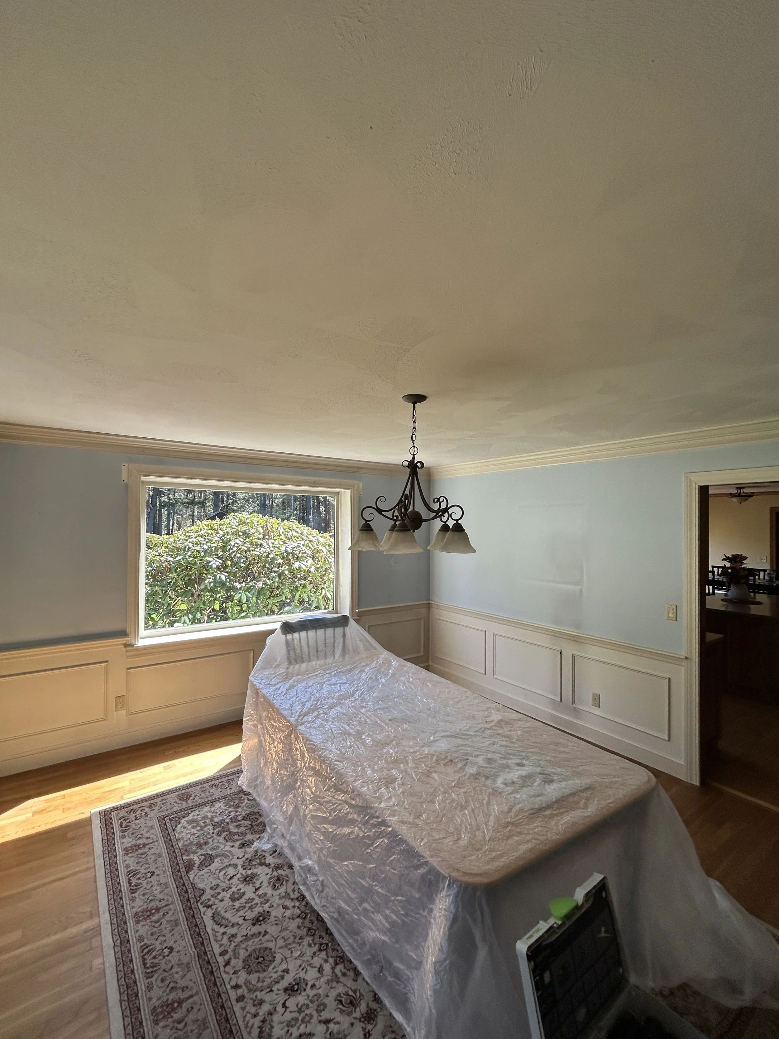 Room1beforedriscollIMG_5155.jpg