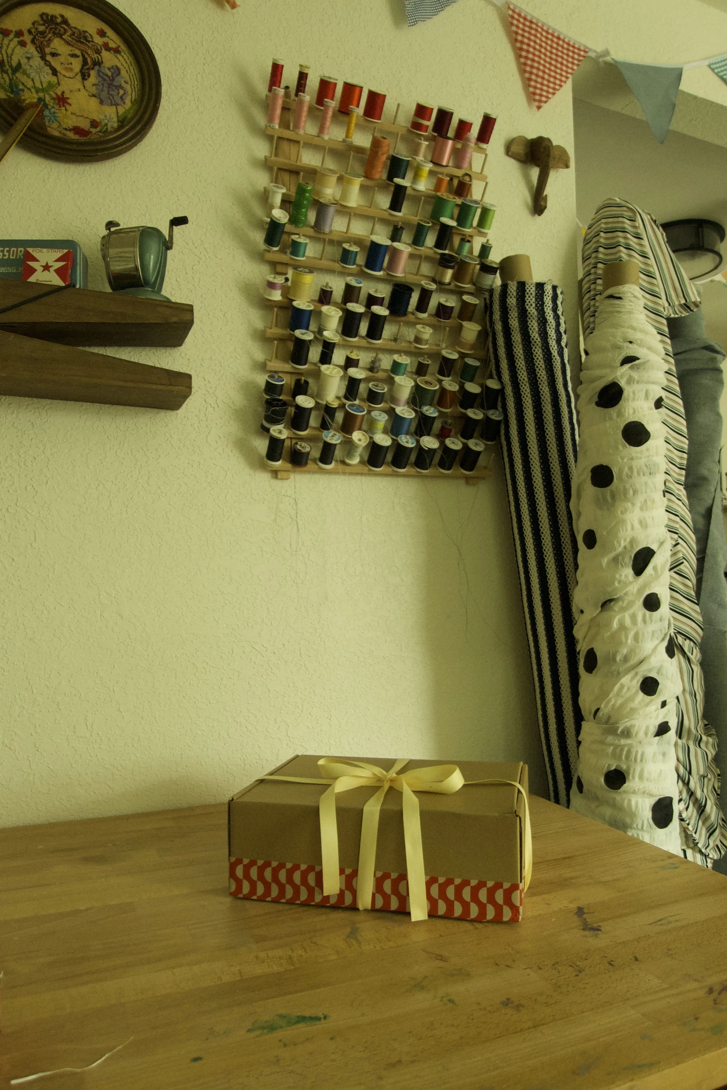 Sewing kit- Oven mitts