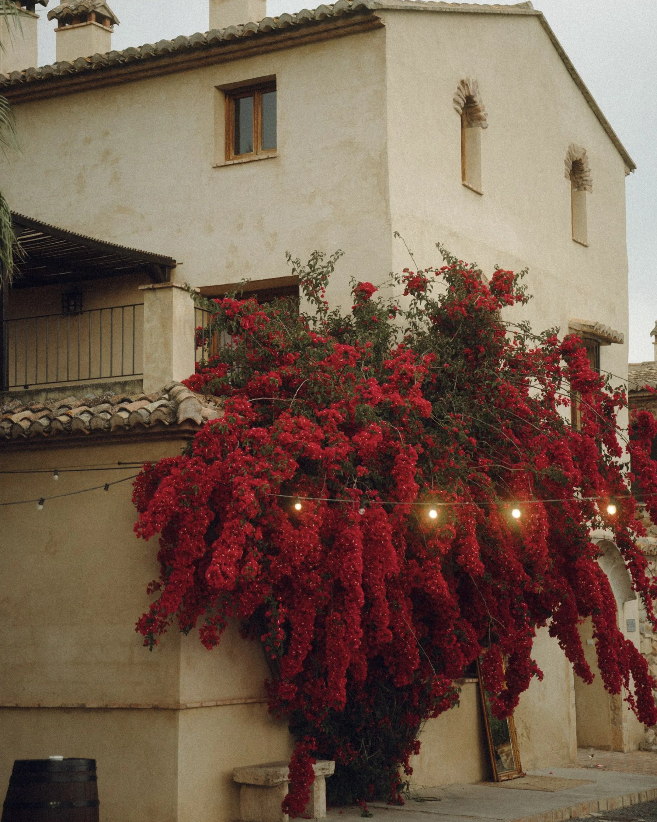 SCRL_0048.JPG