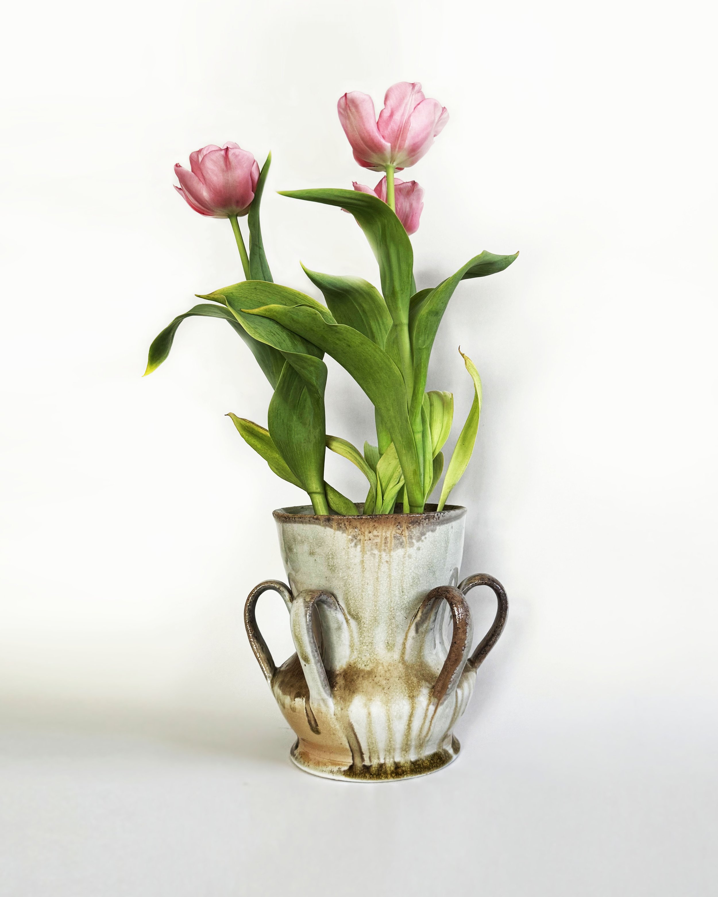 jpzowski-manyhandles.pinktulips.jpg