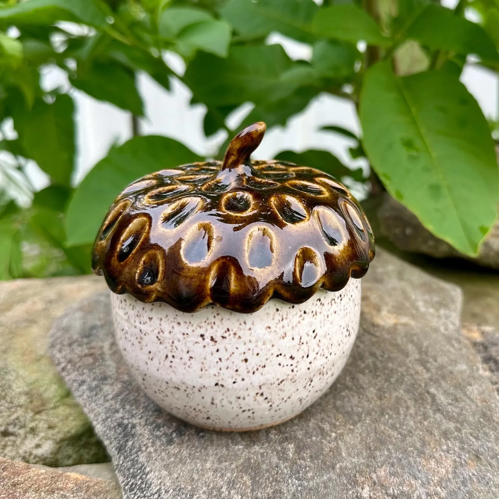 FAMILY CLAY: SATURDAY AFTERNOON